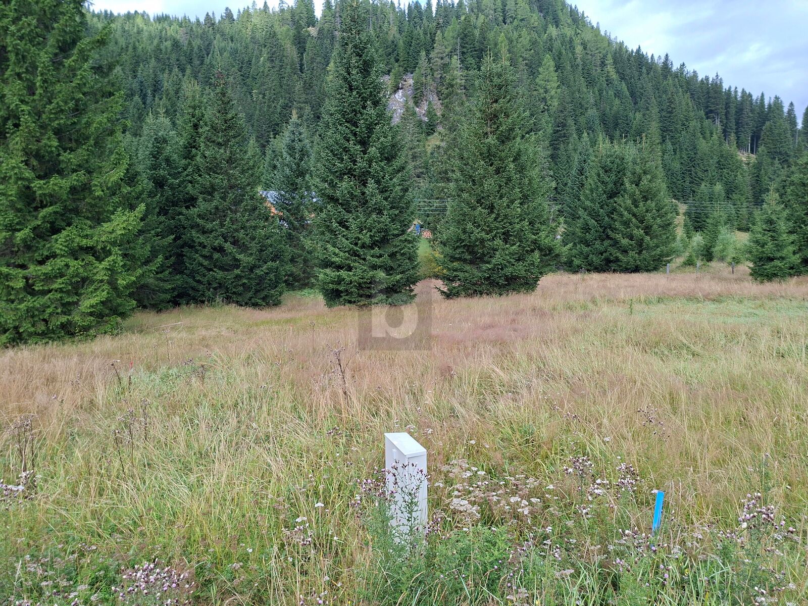 FERN VON DER HEKTIK  AUF DER FLATTNITZ /  / 9346 Gldnitz / Bild 1