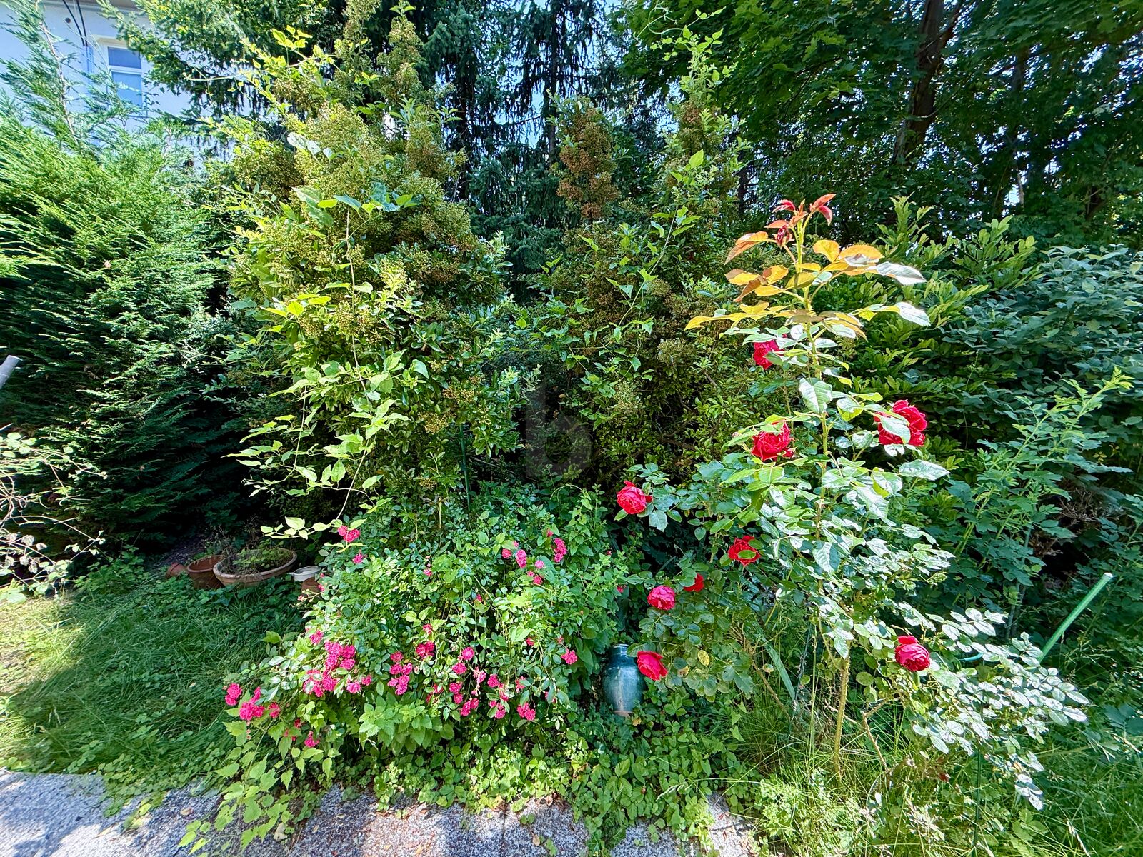PRIVATSPHRE PUR - UMGEBEN VON GRN /  / 2371 Hinterbrhl / Bild 2