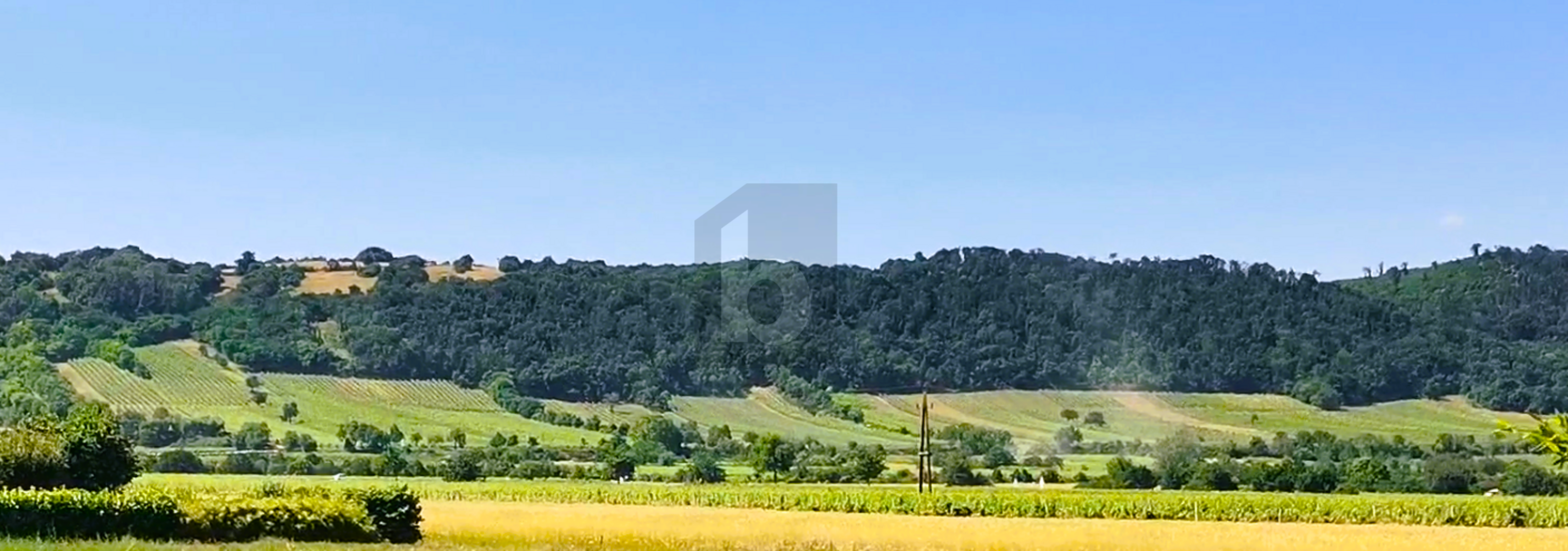 MIT BLICK ZUM LEITHAGEBIRGE UND NEUSIEDLERSEE /  / 7082 Donnerskirchen / Bild 1