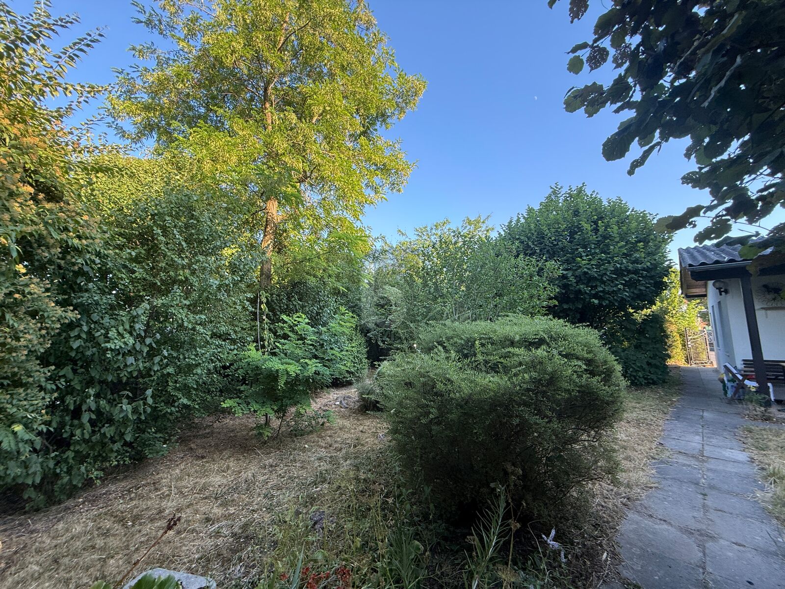 GRNES JUWEL FR DIVERSE BAUVORHABEN /  / 3430 Tulln an der Donau / Bild 1