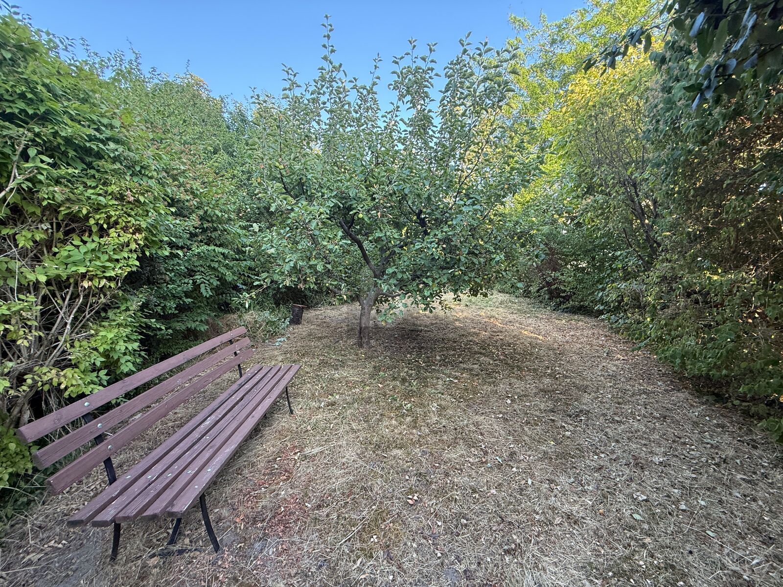 GRNES JUWEL FR DIVERSE BAUVORHABEN /  / 3430 Tulln an der Donau / Bild 2