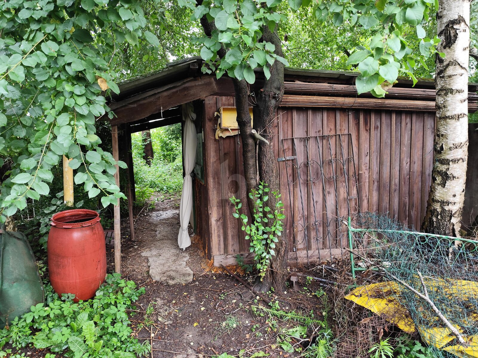 DEIN GRNES PARADIES WARTET: RCKZUGSORT MIT VIEL PLATZ /  / 2544 Leobersdorf / Bild 3