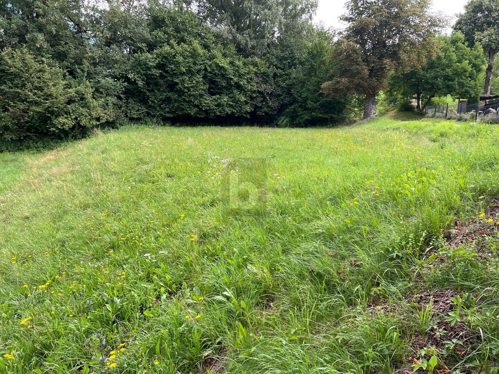 SONNIGER GRUND IN TOLLER LAGE /  / 9150 Bleiburg / Bild 1