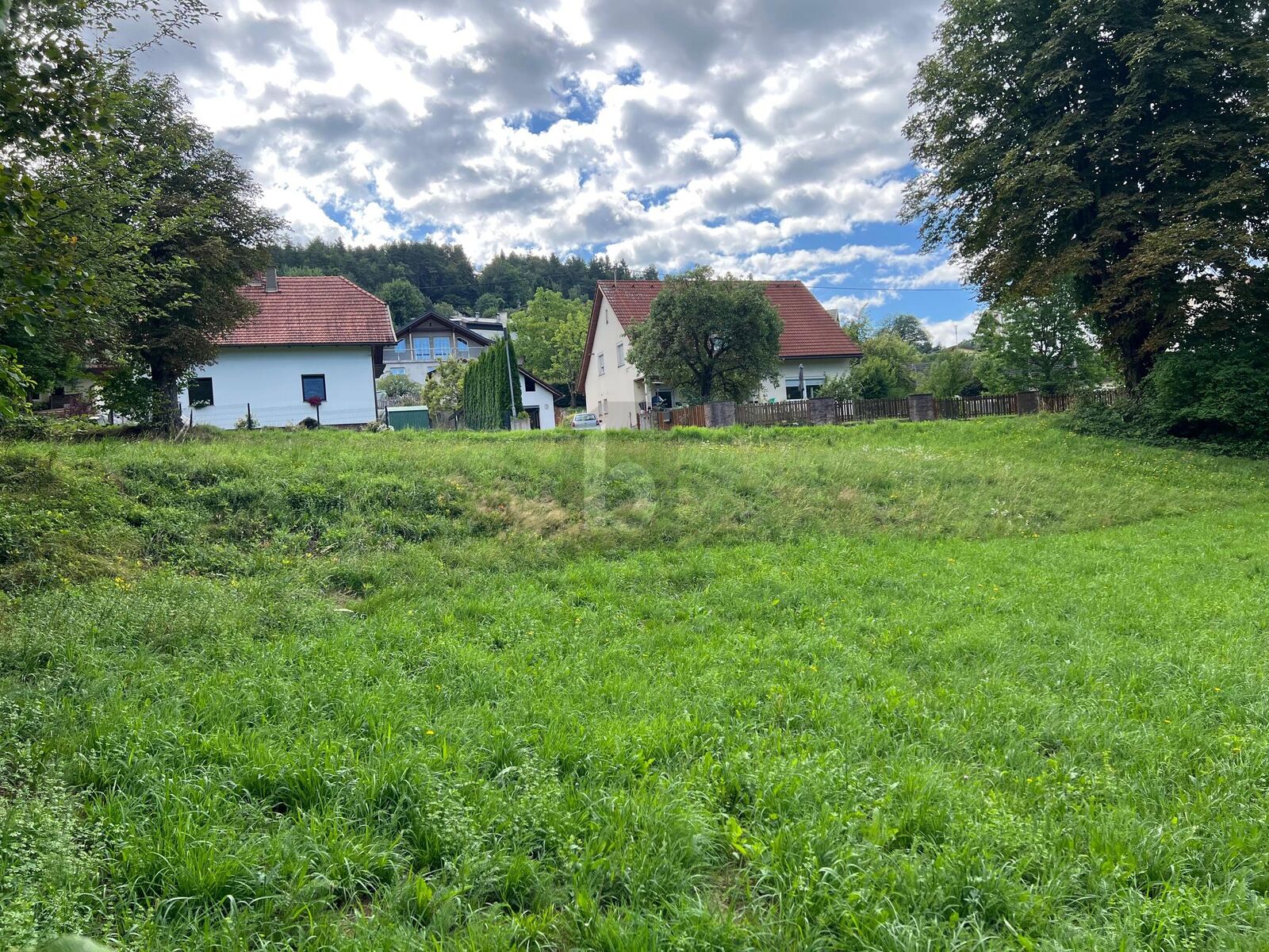 SONNIGER GRUND IN TOLLER LAGE /  / 9150 Bleiburg / Bild 2