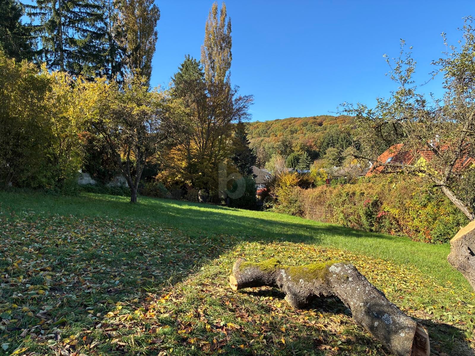HERRLICH MIT BERG- UND WALDBLICK /  / 2384 Breitenfurt bei Wien / Bild 1