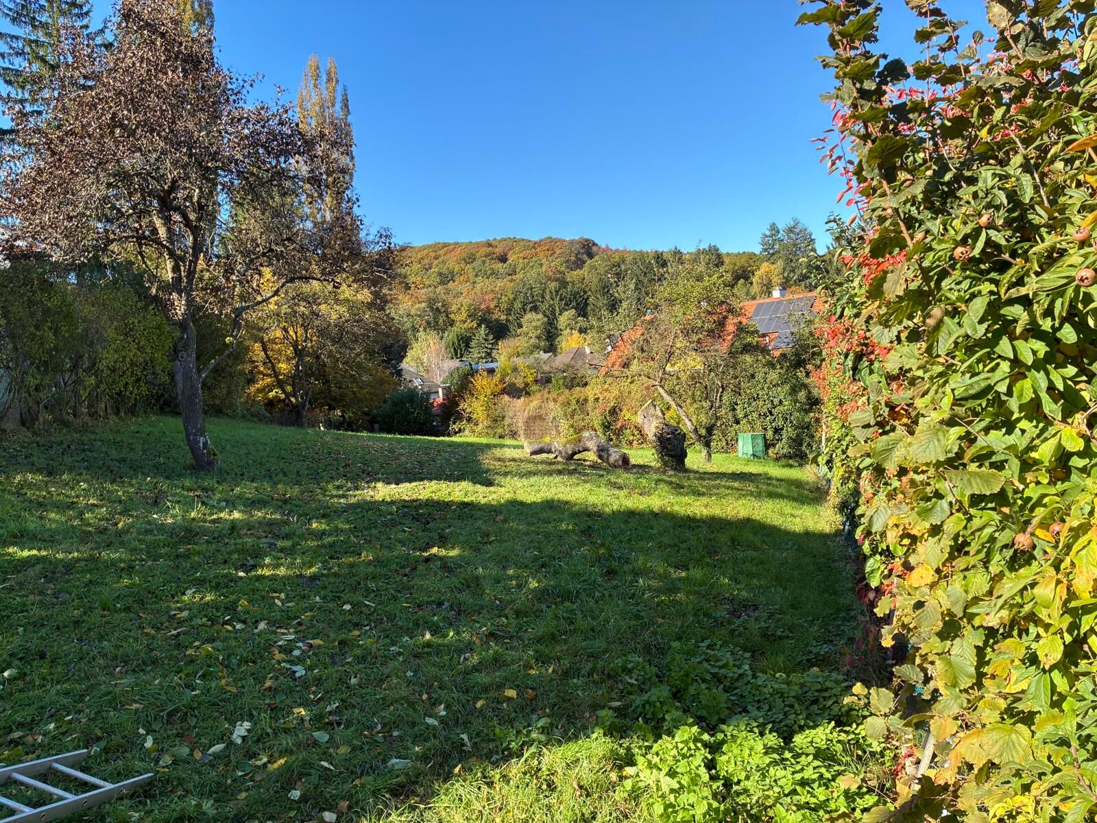 HERRLICH MIT BERG- UND WALDBLICK /  / 2384 Breitenfurt bei Wien / Bild 2