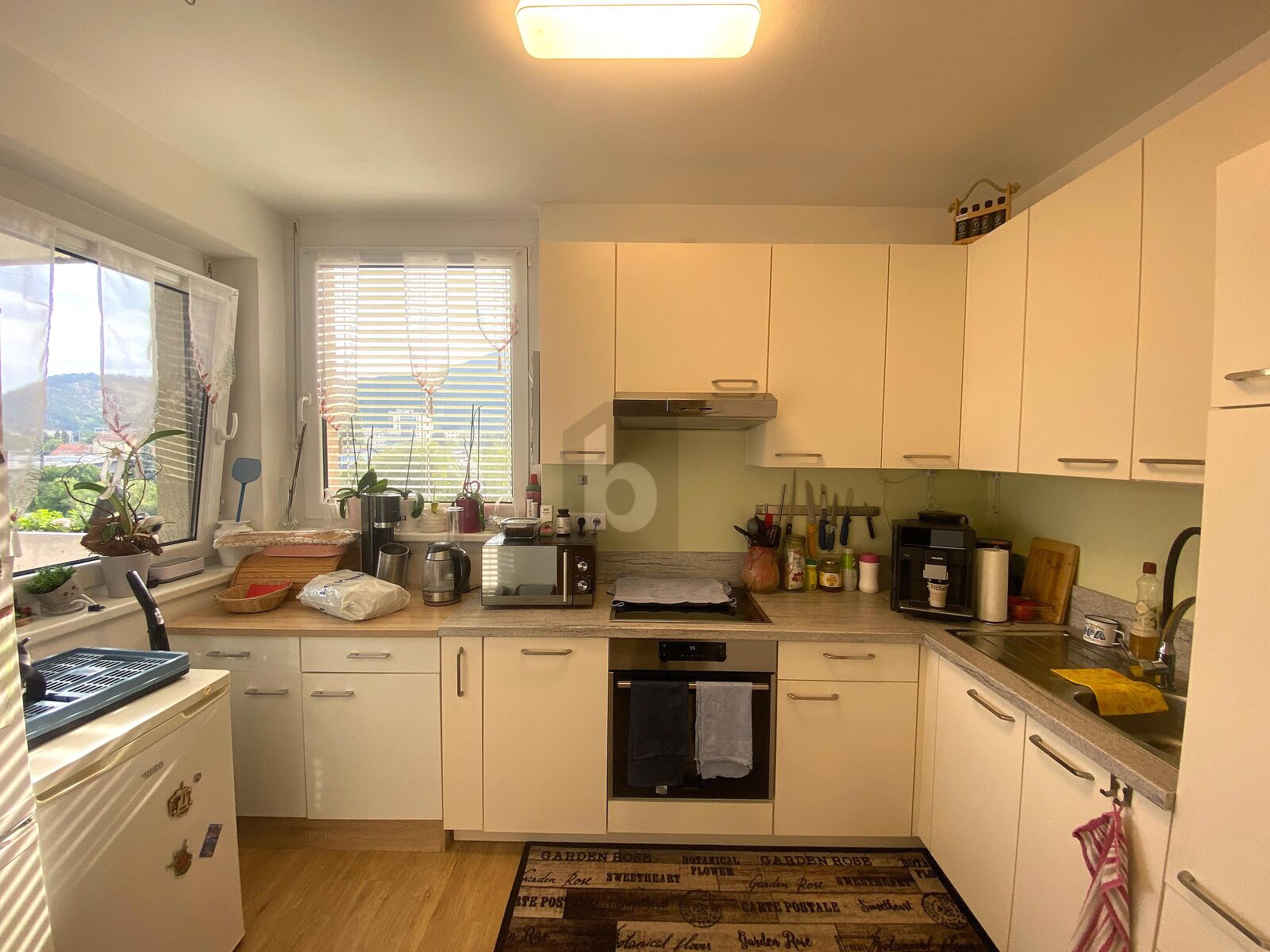 2-ZIMMER MIT WUNDERSCHNEM BLICK INS GRNE /  / 8051 Graz / Bild 4