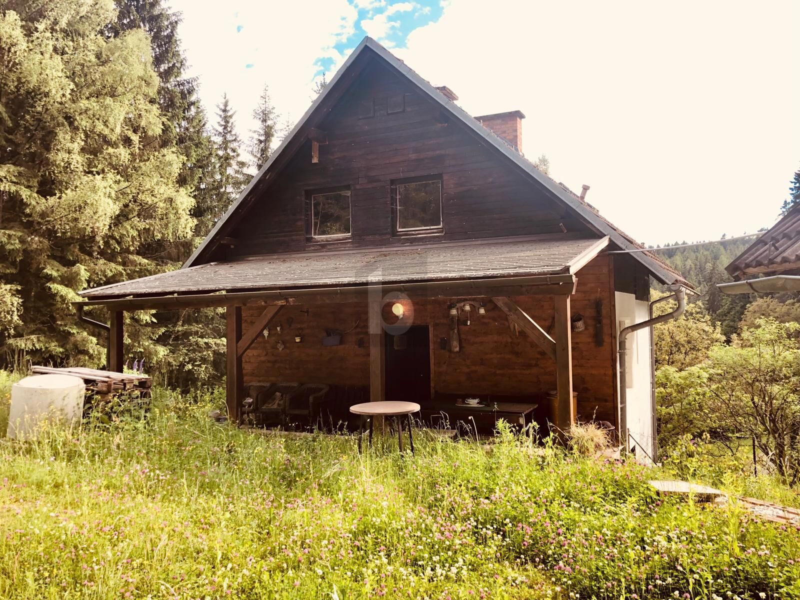 RUHE AM WALDRAND BER DER NEBELGRENZE /  / 9344 Weitensfeld / Bild 2