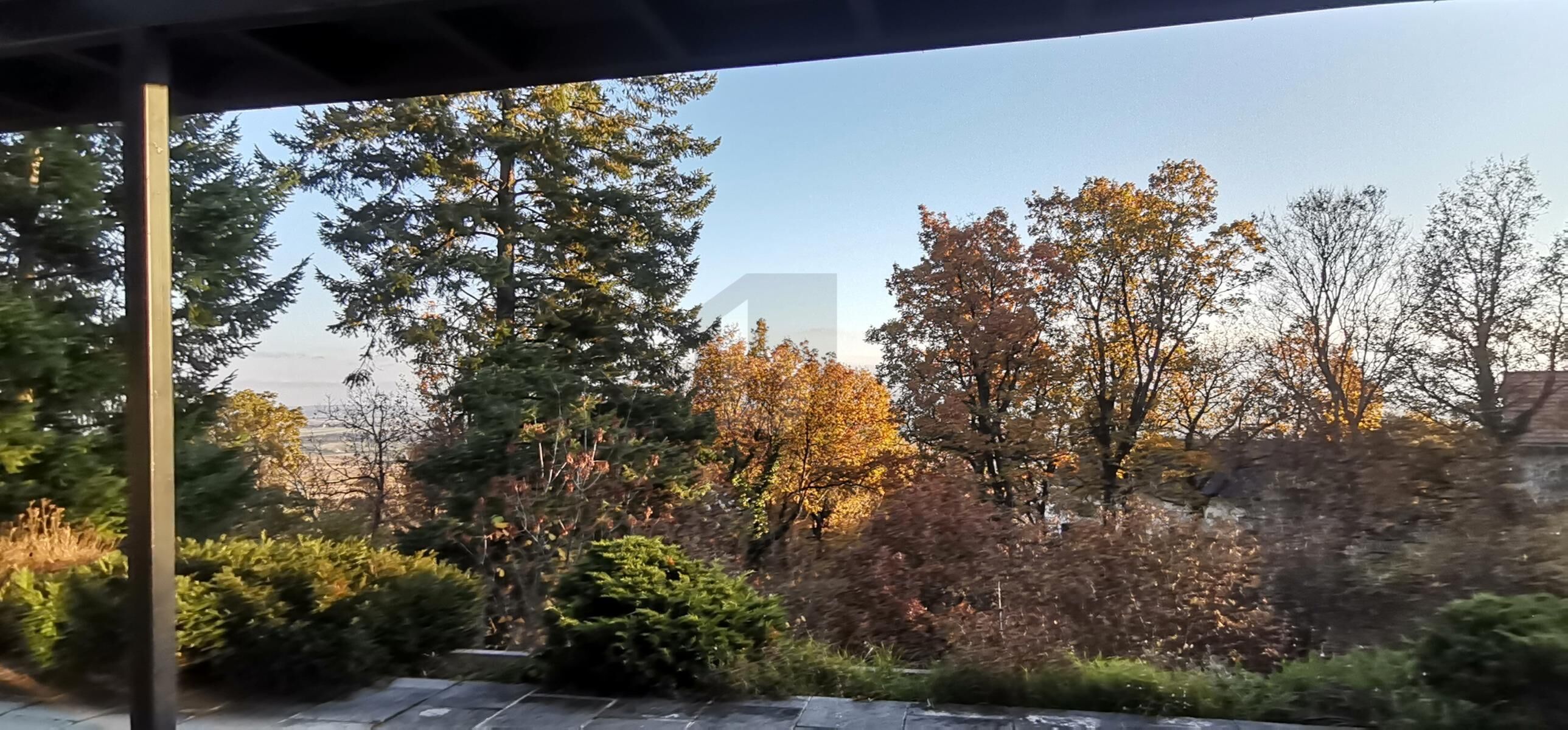 VOM LUXUS REPRSENTATIVEN LEBENS - GEFHLTE ALLEINLAGE /  / 7051 Grohflein / Bild 3