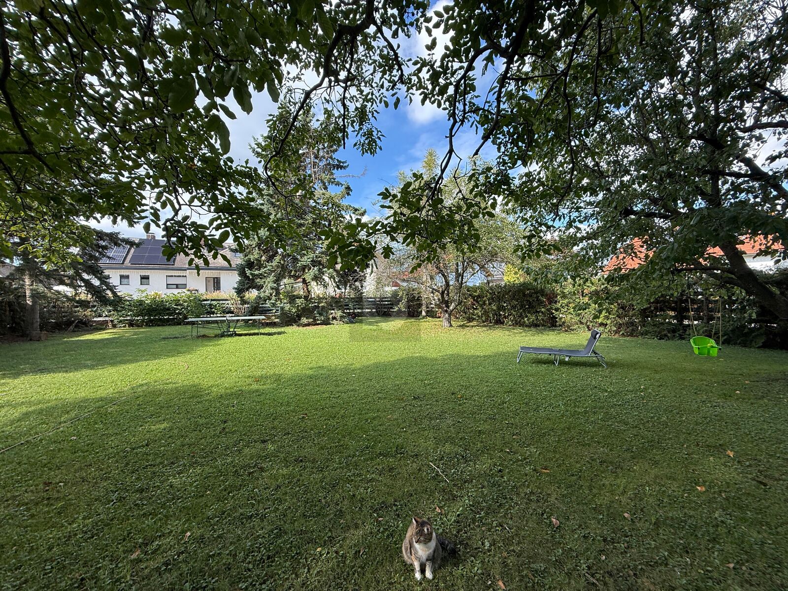 SONNIG UND EBENERDIG MIT SCHNEM BAUMBESTAND  /  / 2353 Guntramsdorf / Bild 2