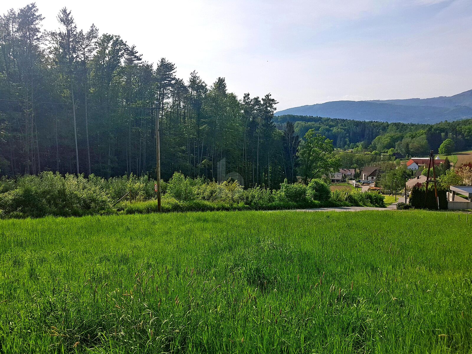 EXKLUSIV IN BEGEHRTER LAGE /  / 8044 Graz / Bild 1