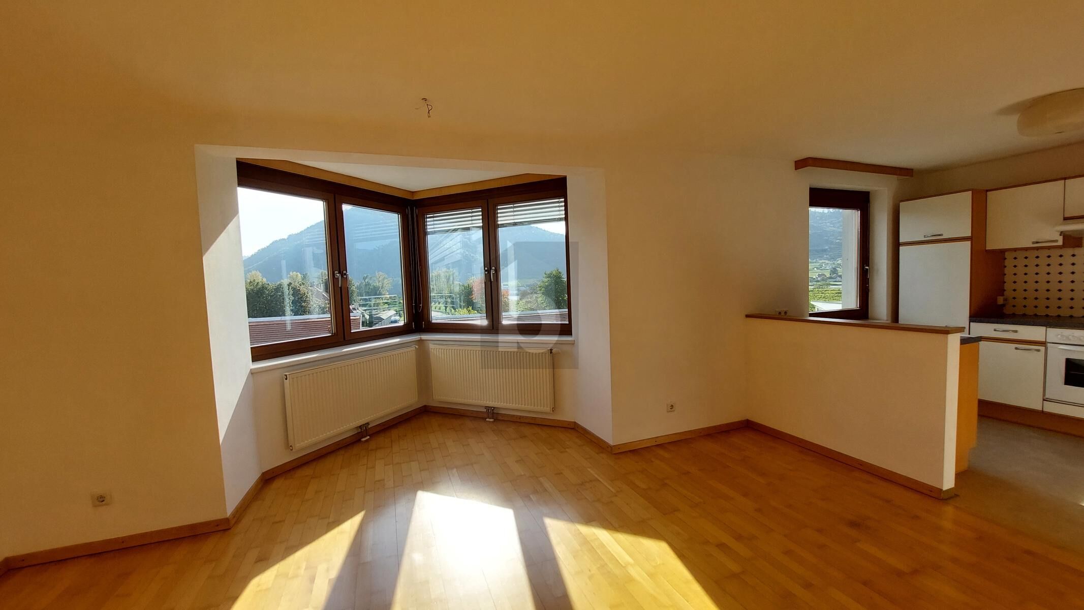 LICHTDURCHFLUTET IM HERZEN DER WACHAU /  / 3601 Dürnstein / Bild 2