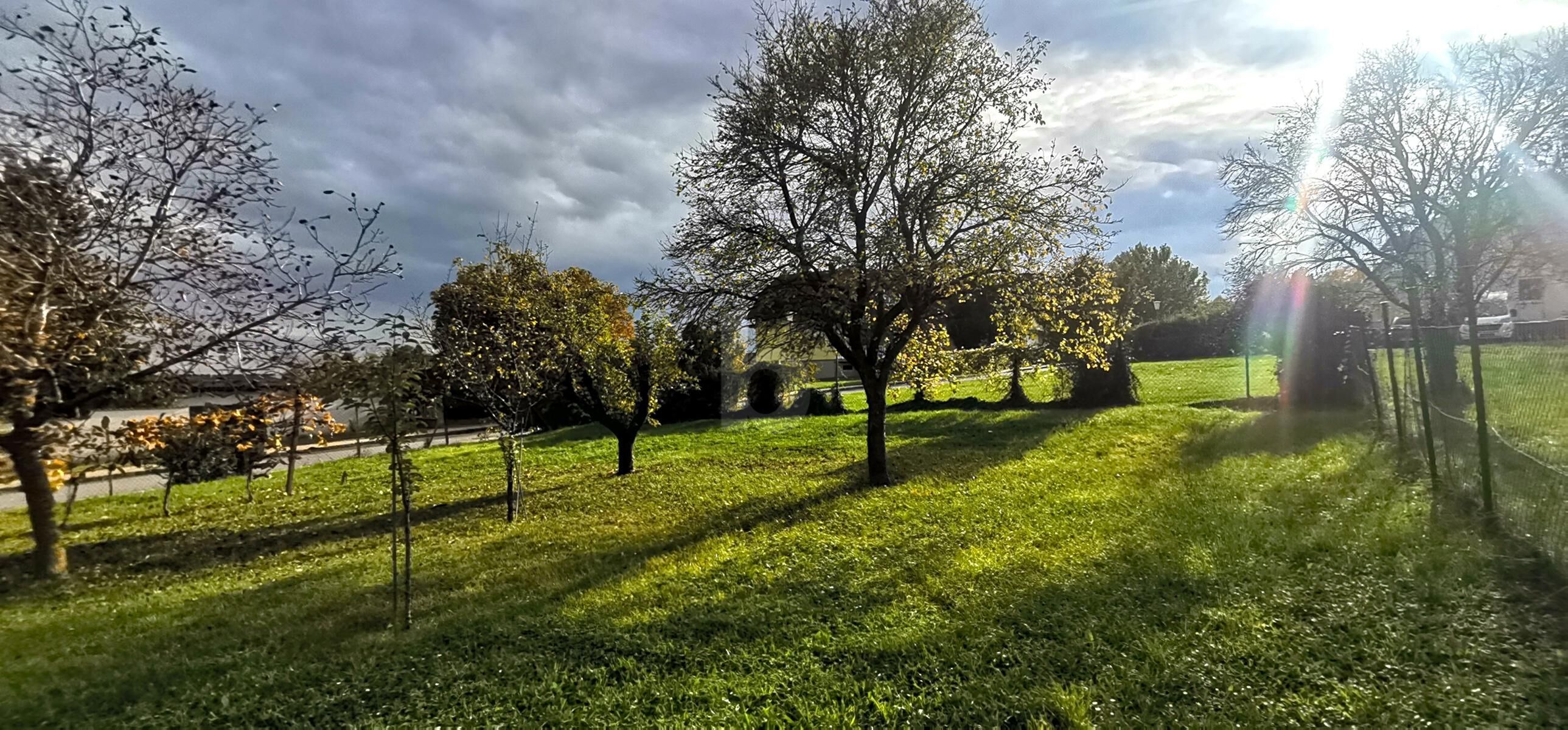 PERFEKT GESCHNITTEN - SDOST-AUSRICHTUNG - AUFSCHLIESSUNGSKOSTEN BEZAHLT /  / 7091 Breitenbrunn / Bild 2