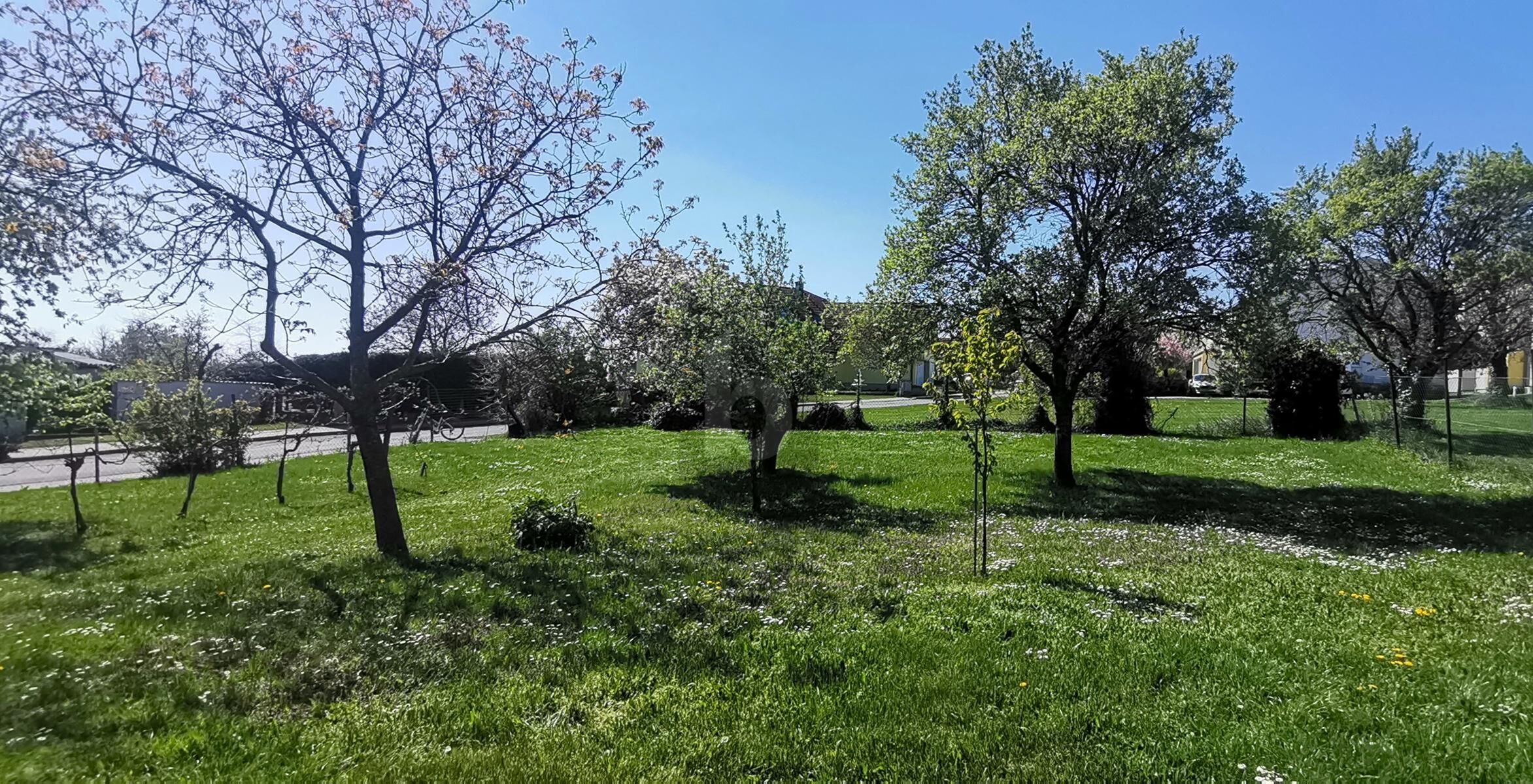 PERFEKT GESCHNITTEN - S�DOST-AUSRICHTUNG - AUFSCHLIESSUNGSKOSTEN BEZAHLT /  / 7091&nbsp;Breitenbrunn / Bild 1