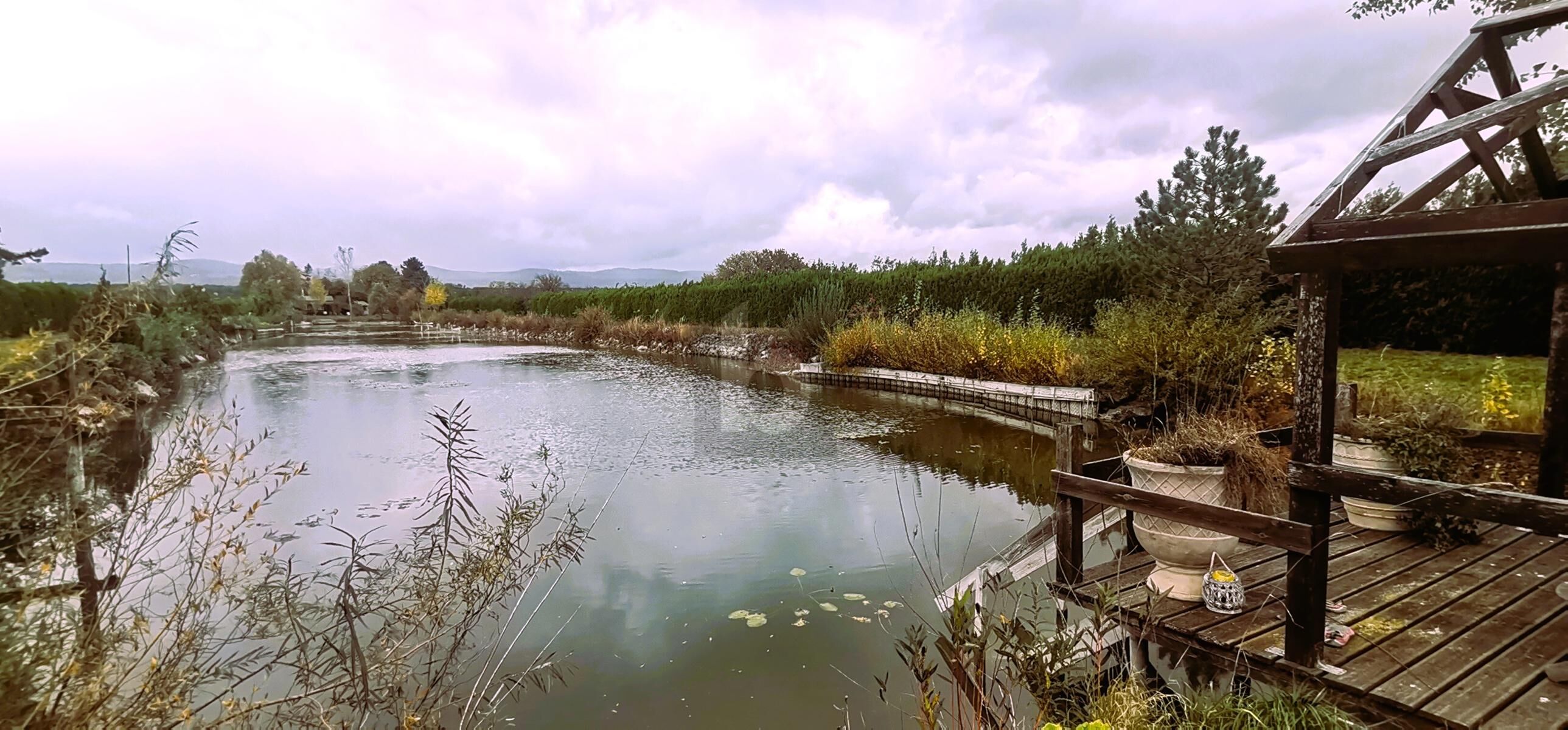 ENTSPANNUNG PUR - FISCHTEICH MIT HTTE UND STREUOBSTWIESE /  / 7064 Oslip / Bild 3