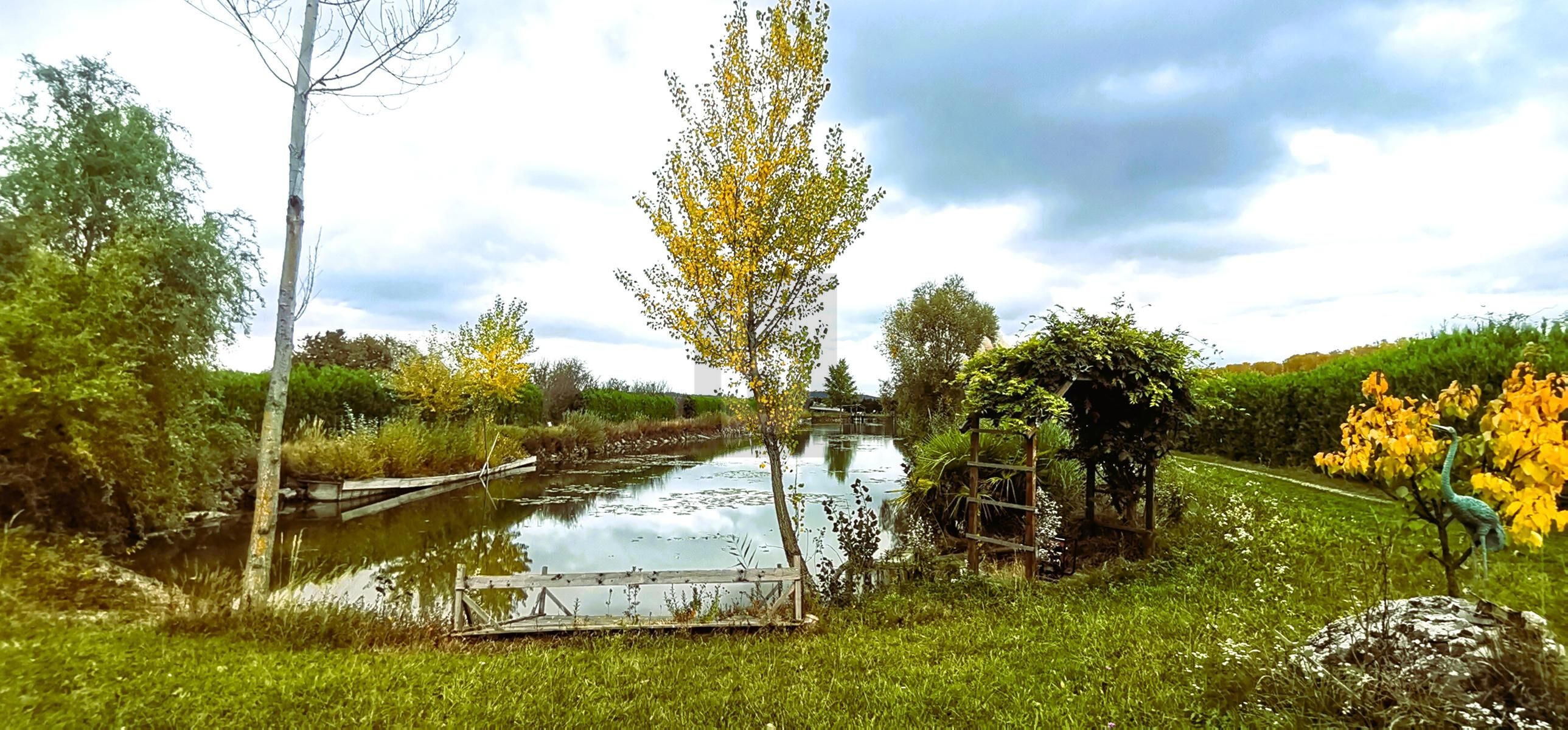 ENTSPANNUNG PUR - FISCHTEICH MIT HTTE UND STREUOBSTWIESE
