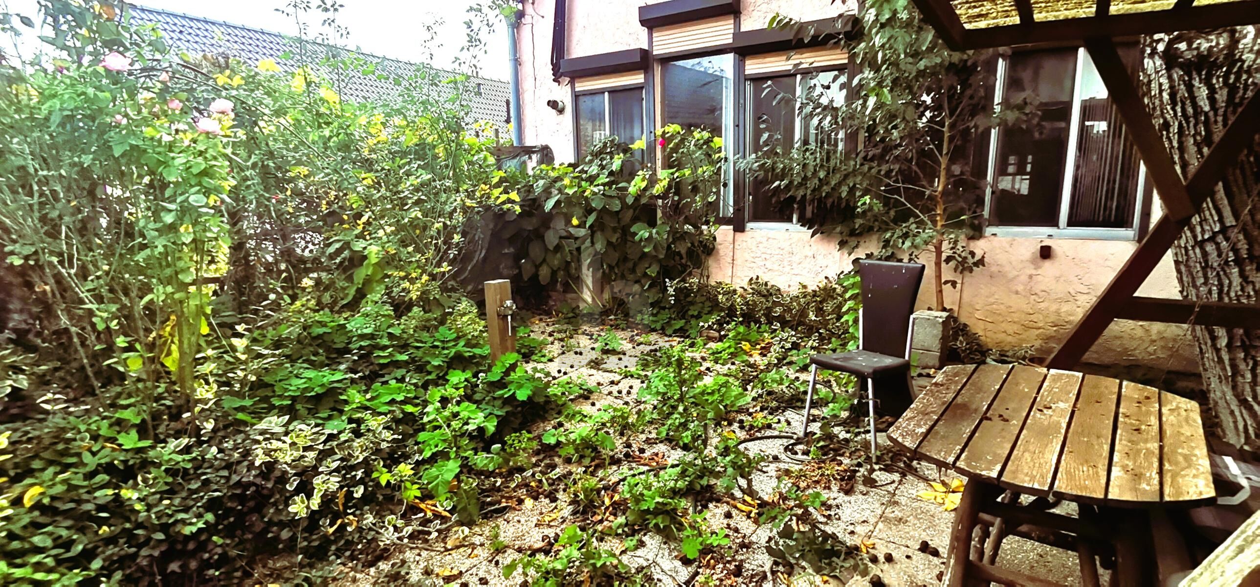 MEHRERE WOHNEINHEITEN MIT EHEMALIGER TISCHLEREI - WOHNEN UND ARBEITEN /  / 2424 Zurndorf / Bild 1