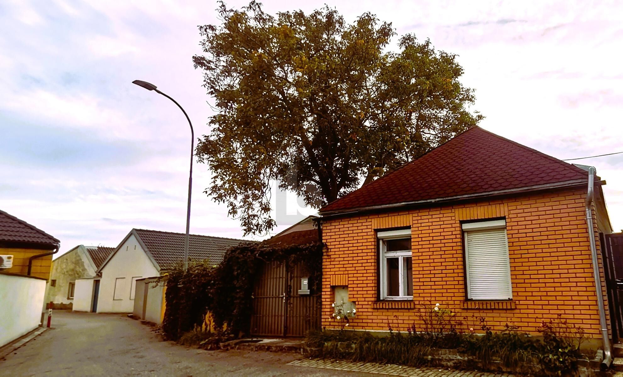 MEHRERE WOHNEINHEITEN MIT EHEMALIGER TISCHLEREI - WOHNEN UND ARBEITEN /  / 2424 Zurndorf / Bild 4