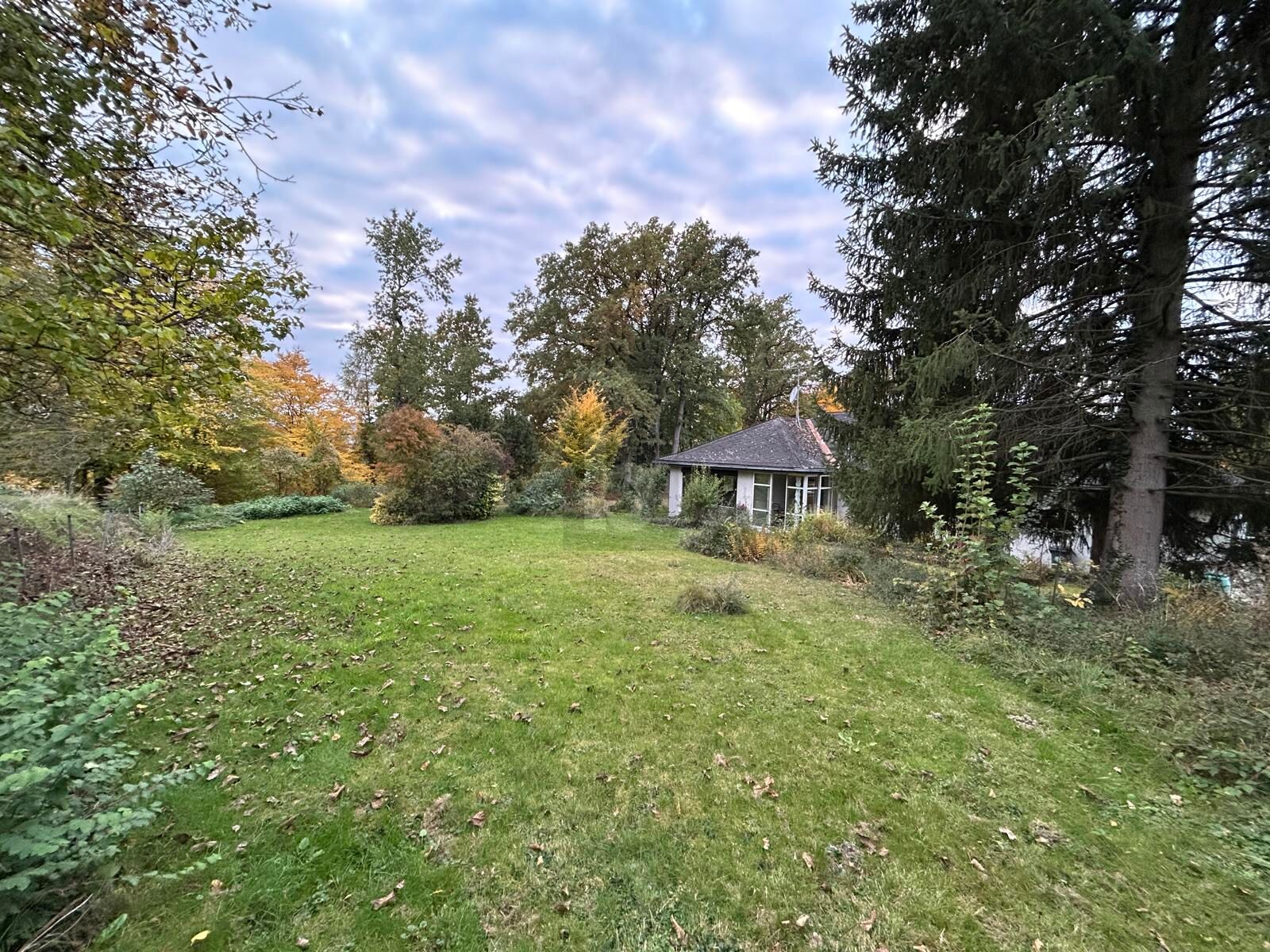 TRAUMHAFT IN BESTER LAGE /  / 4910 Ried im Innkreis / Bild 2