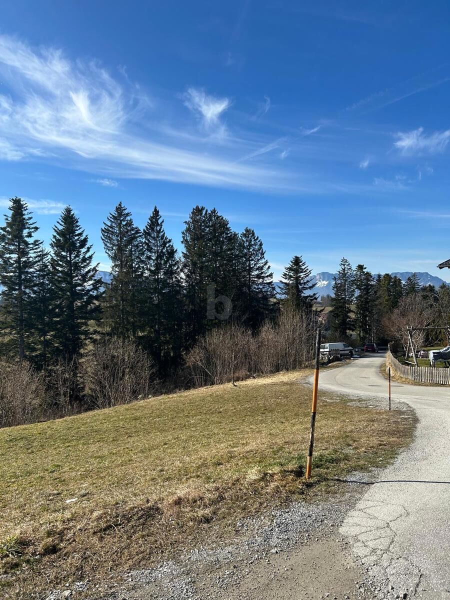 VIEL RUHE UND IDYLLE MIT VIEL SONNE 