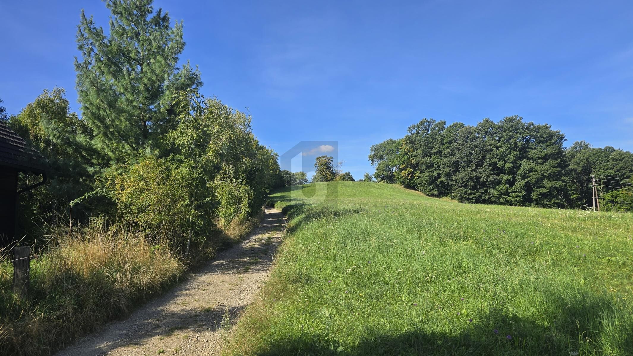 ROMANTISCHER GRUND MIT GRÜNLANDWIDMUNG