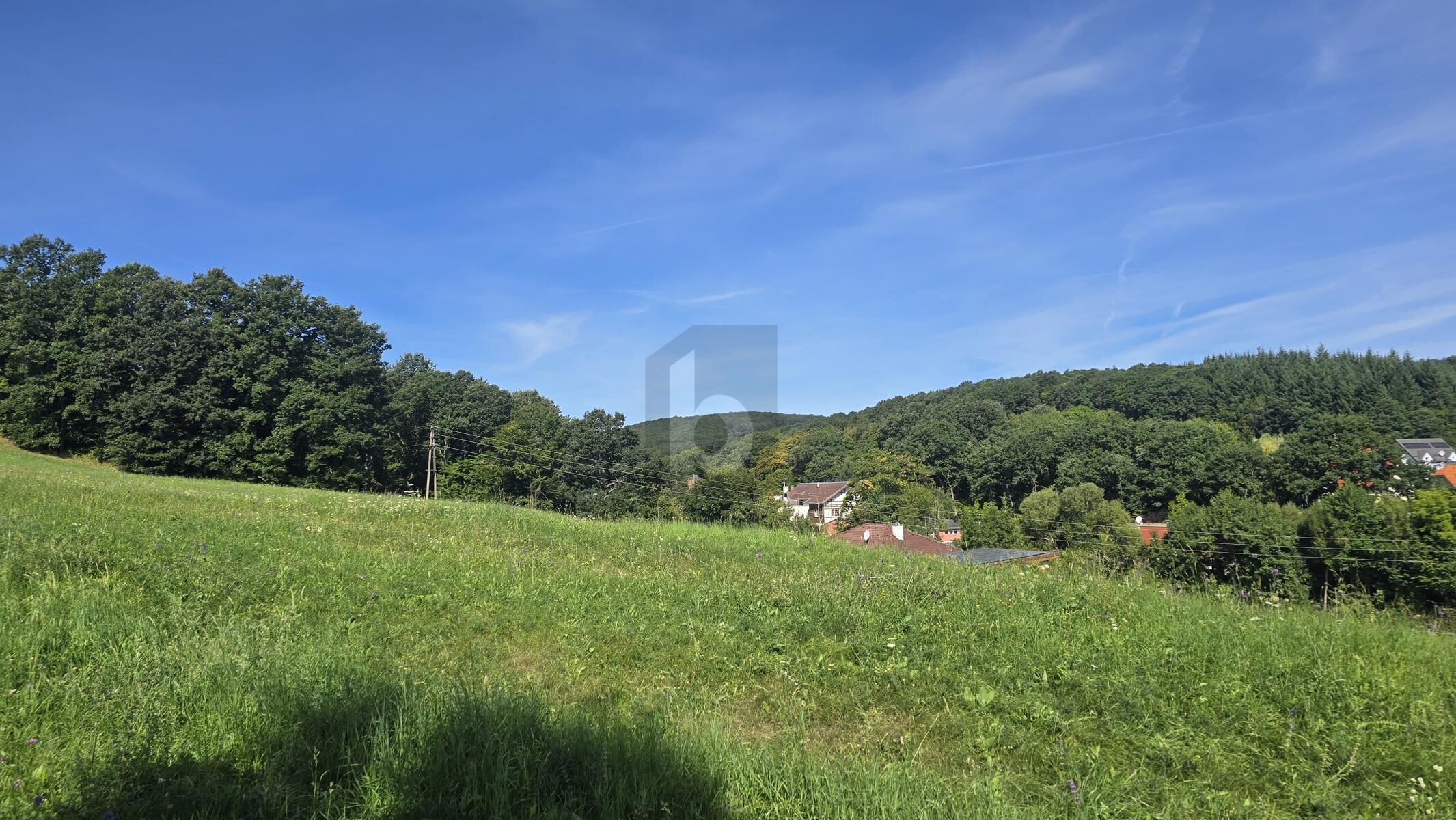 ROMANTISCHER GRUND MIT GRÜNLANDWIDMUNG / / 2391 Kaltenleutgeben / Bild 1