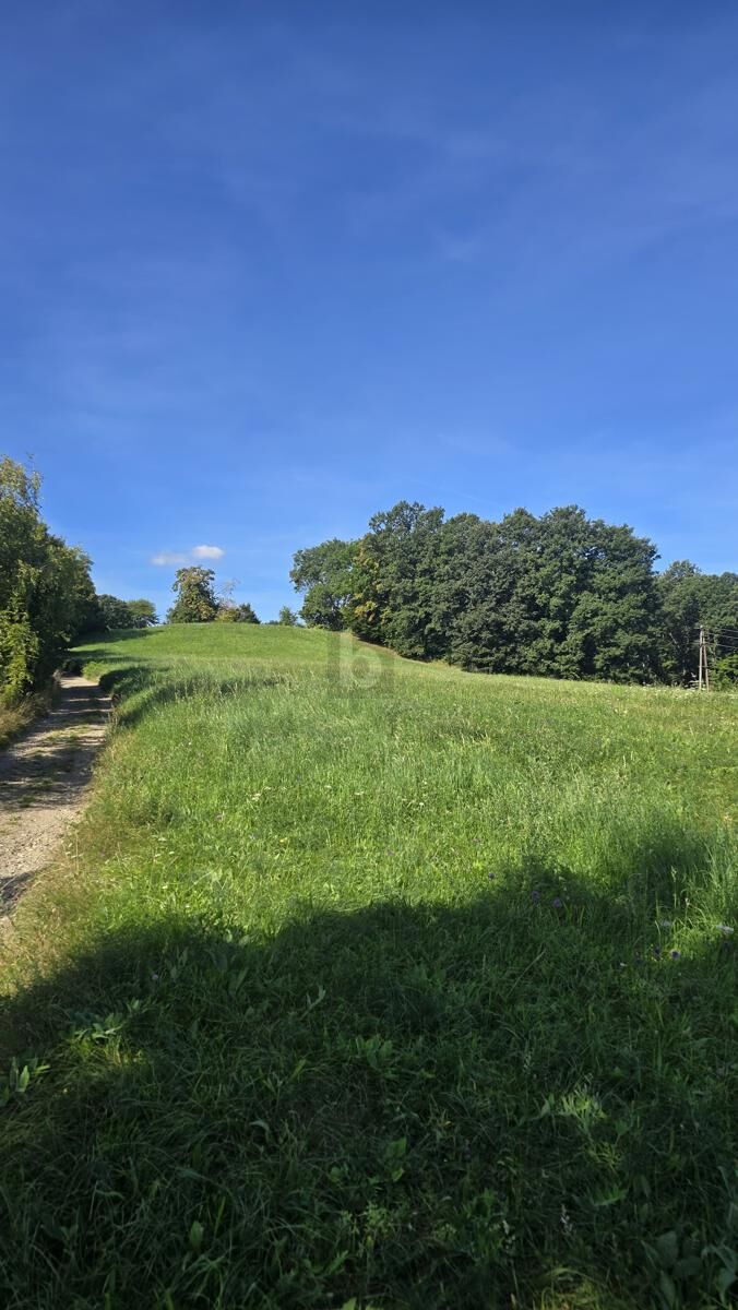 ROMANTISCHER GRUND MIT GRÜNLANDWIDMUNG / / 2391 Kaltenleutgeben / Bild 2