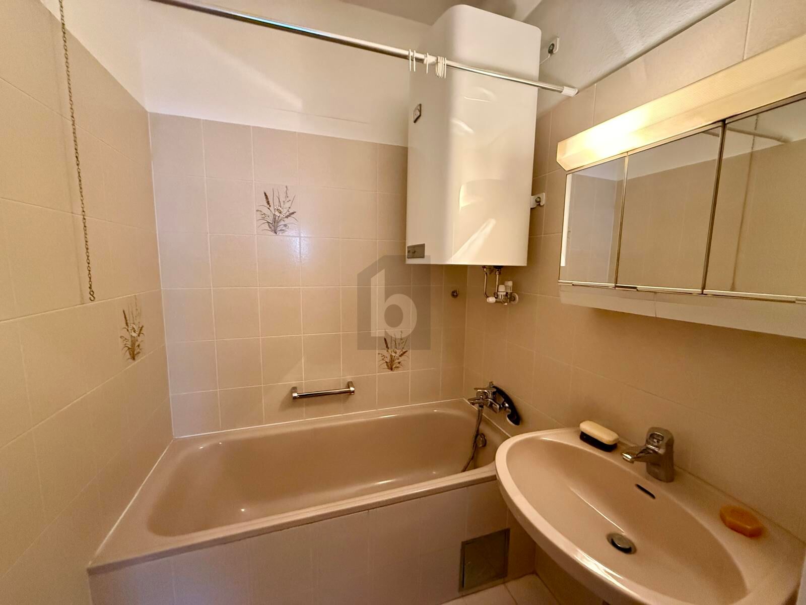 MIT BLICK IN DIE NATUR & ZENTRUMSNAHE / / 1140 Wien / Bild 3