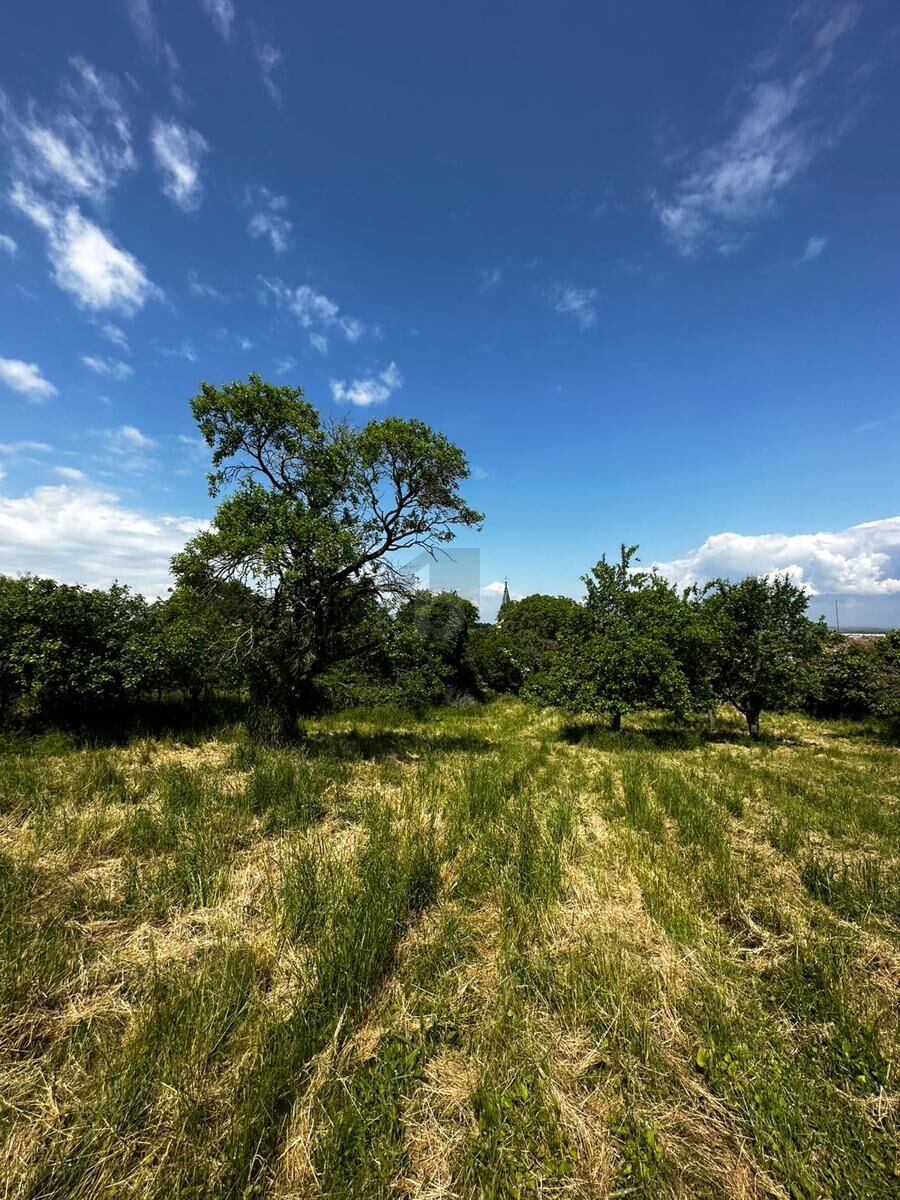 IDYLLISCHES BAUGRUNDSTCK: RUHEOASE MIT POTENZIAL /  / 2165 Kleinschweinbarth / Bild 2