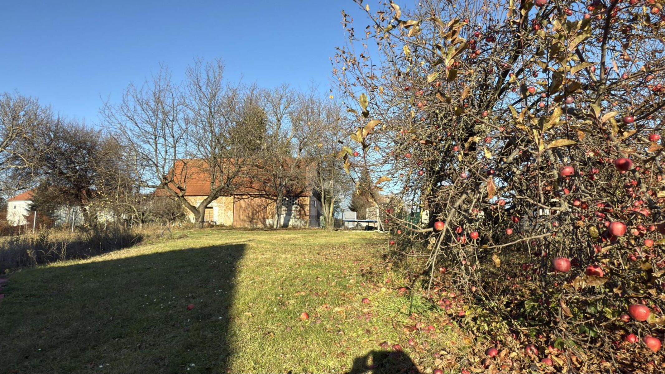 Preisreduktion! TEILSANIERT MIT GROSSEM SONNIGEN GARTEN U. STADL - 2 ZUFAHRTEN /  / 7444 Unterloisdorf / Bild 1