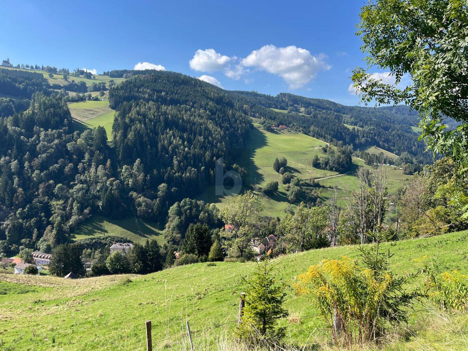 RUHEOASE ÜBER 1000 METER / / 9376 Knappenberg / Bild 1