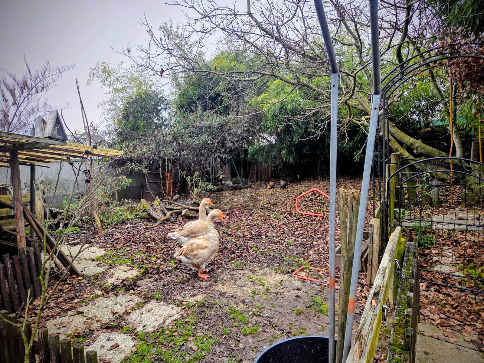 EIN ST�CK GESCHICHTE: IHR TRAUM VOM EIGENHEIM  /  / 8501&nbsp;Lieboch / Bild 1