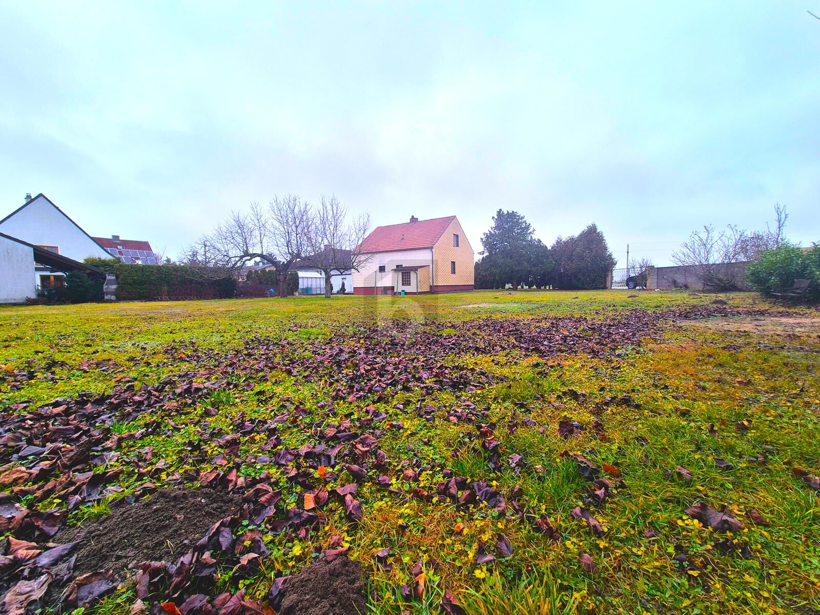 NATUR, FREIHEIT & PANORAMABLICK AUF DEN SCHNEEBERG