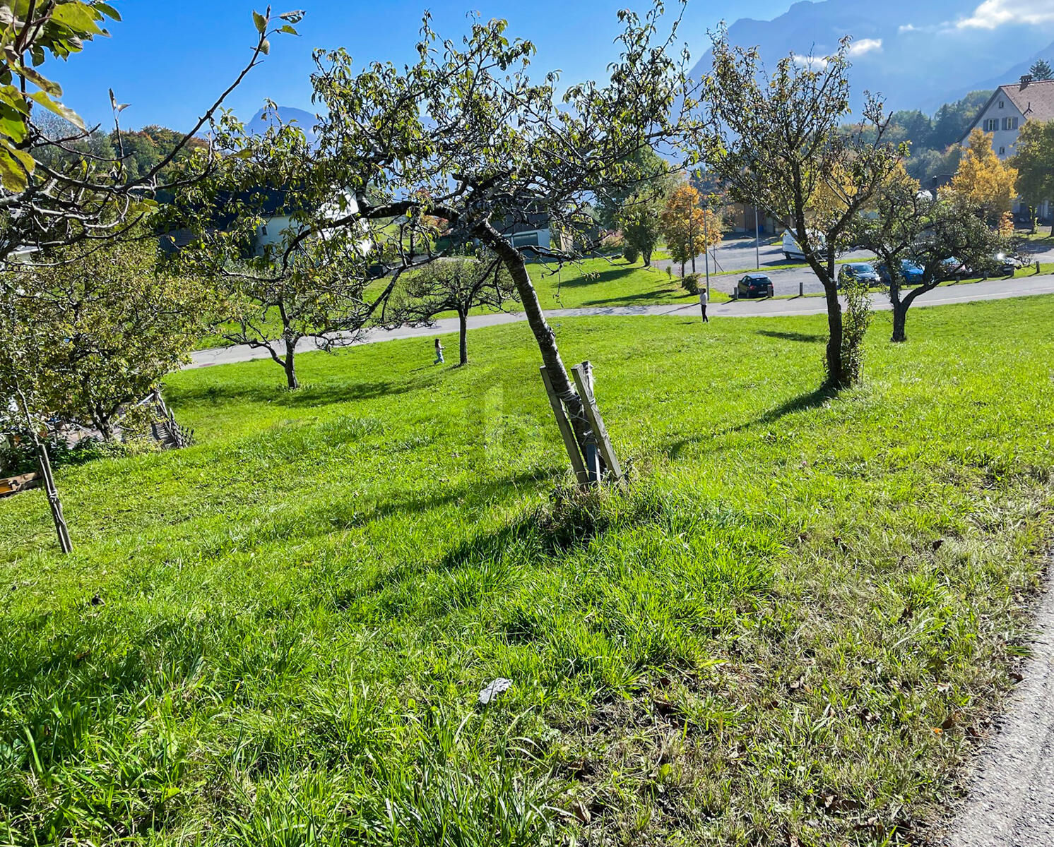 UNVERBAUBARER PANORMABLICK IM BERGDORF GURTIS / / 6820 Frastanz / Bild 3