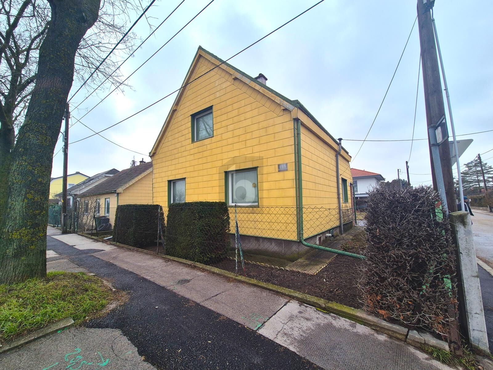 IN RUHIGER GR�NLAGE MIT UNVERBAUBAREM AUSBLICK /  / 1220&nbsp;Wien / Bild 2