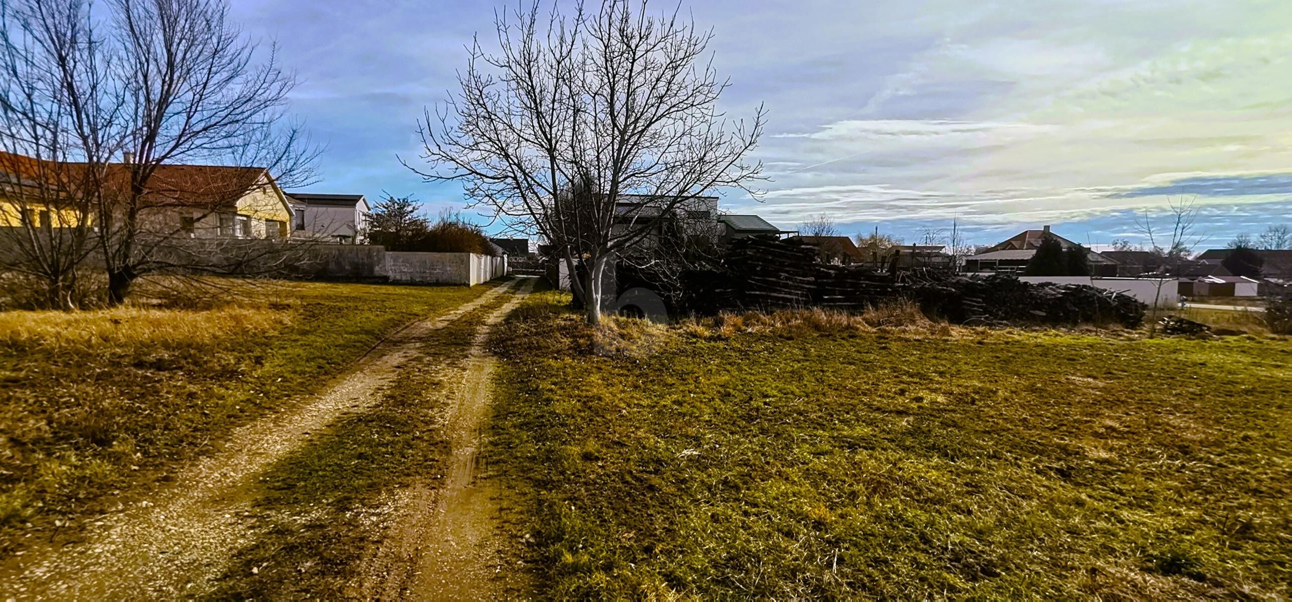 GUT GESCHNITTEN - ZWEI ZUFAHRTEN - ERH�HTE RUHELAGE - KEIN BAUZWANG /  / 7123&nbsp;M�nchhof / Bild 2