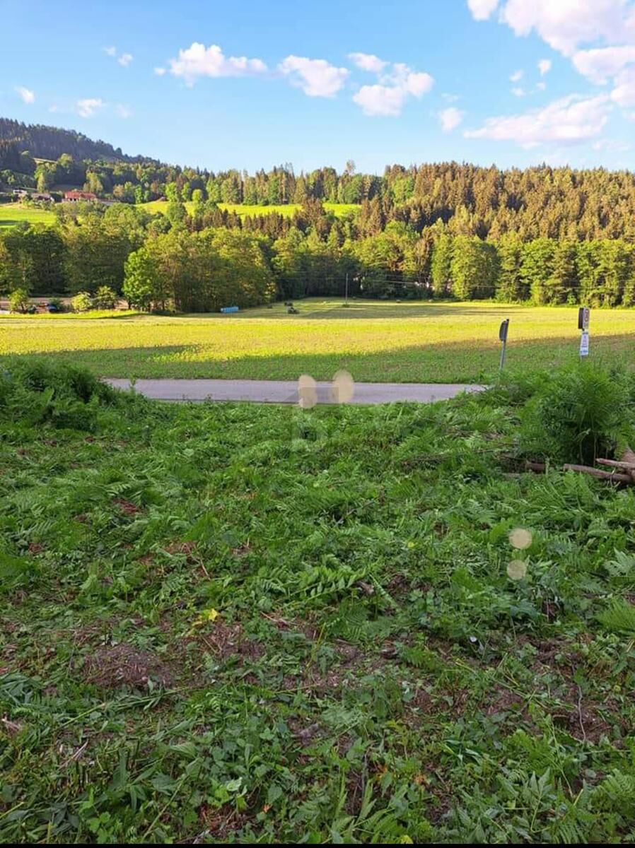 SCHN�PPCHEN - IDEAL F�R JUNGE FAMILIEN /  / 9562&nbsp;Himmelberg / Bild 1