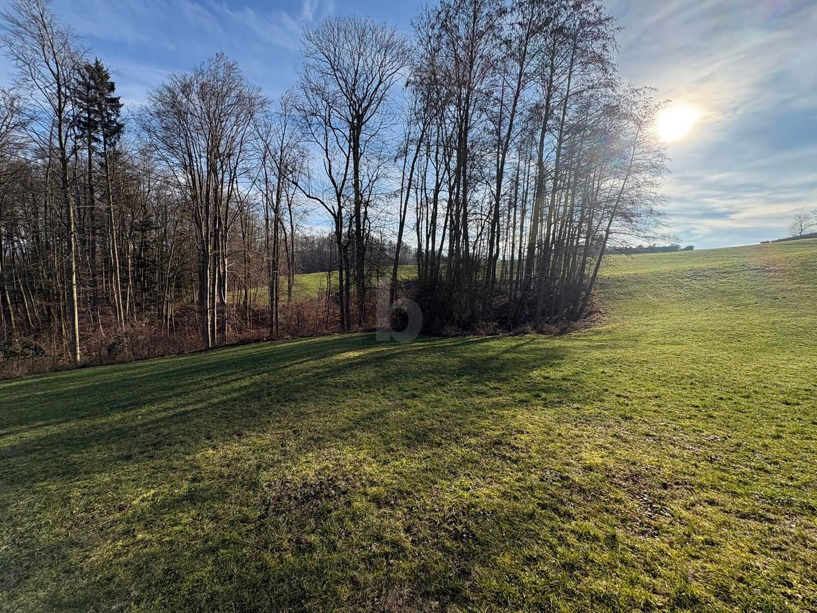 WOHNEN AUF H�CHSTEM NIVEAU - S�DHANG IN RUHELAGE MIT ZENTRUMSN�HE 