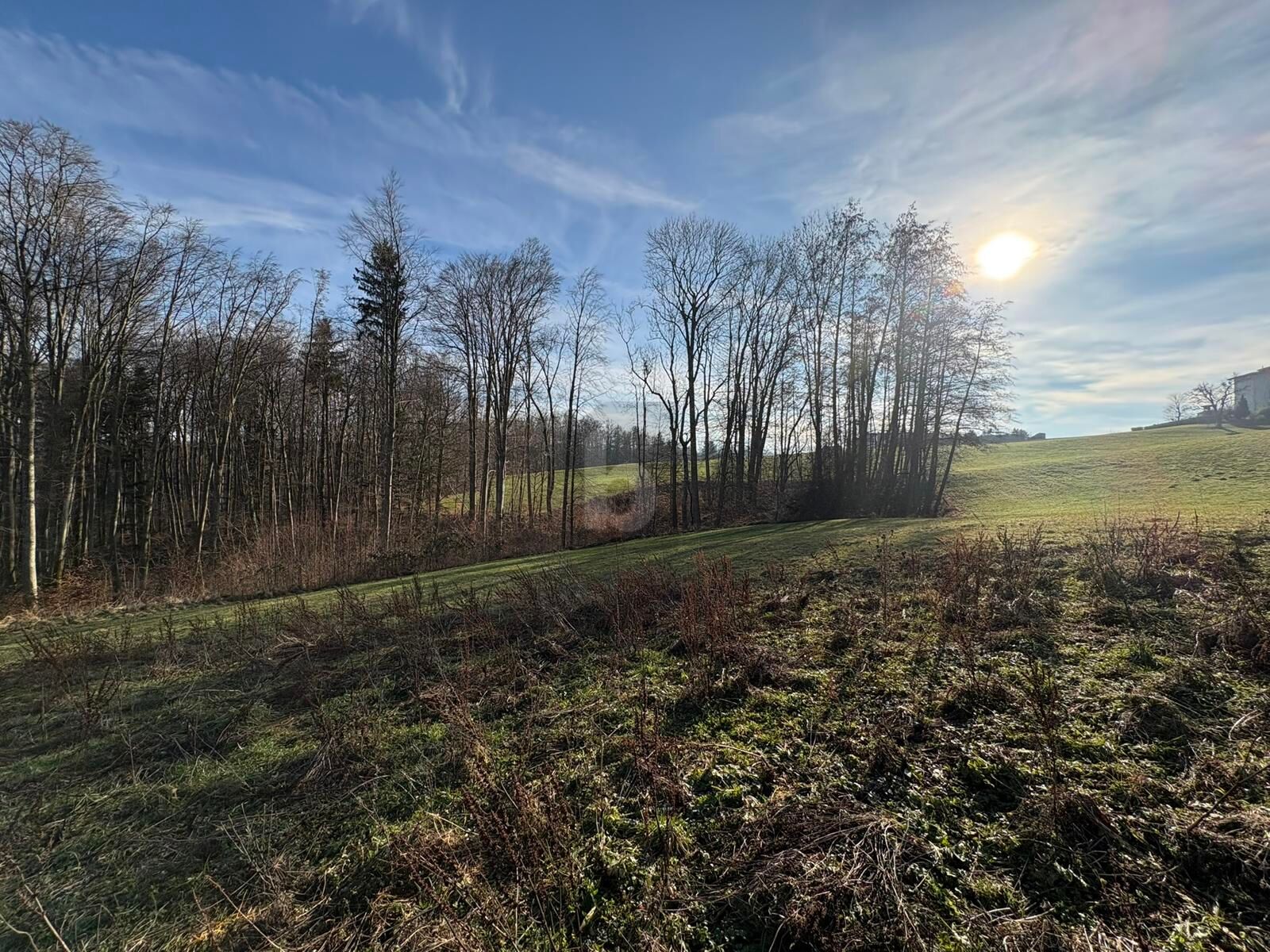 WOHNEN AUF H�CHSTEM NIVEAU - S�DHANG IN RUHELAGE MIT ZENTRUMSN�HE  /  / 4400&nbsp;Steyr / Bild 1