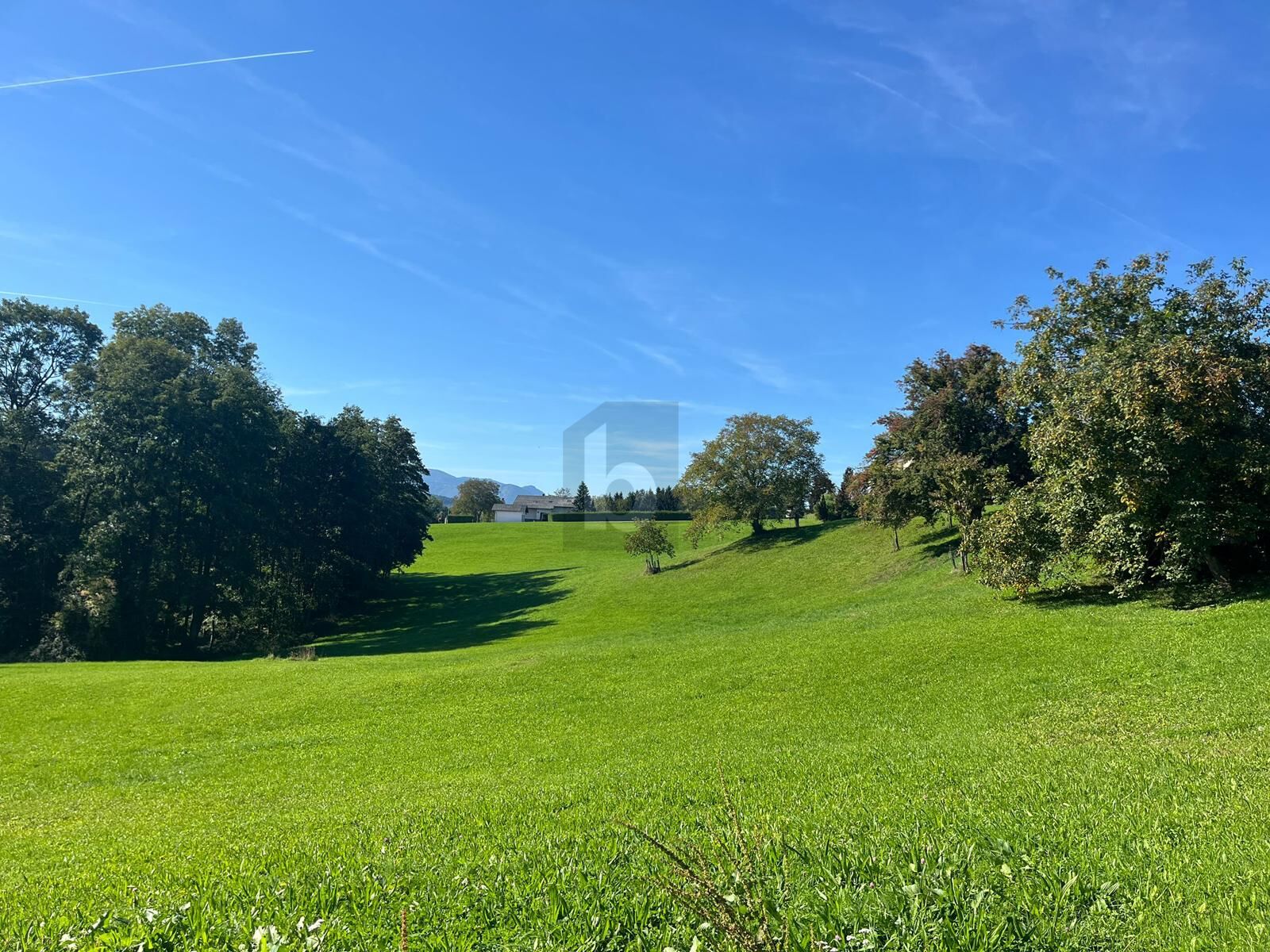 SELTENE GELEGENHEIT: BAUGRUND OHNE BAUZWANG ? UNVERBAUBARE AUSSICHT, SONNIGER SÜDHANG & TOP-WERTANLAGE / / 4451 Garsten / Bild 1
