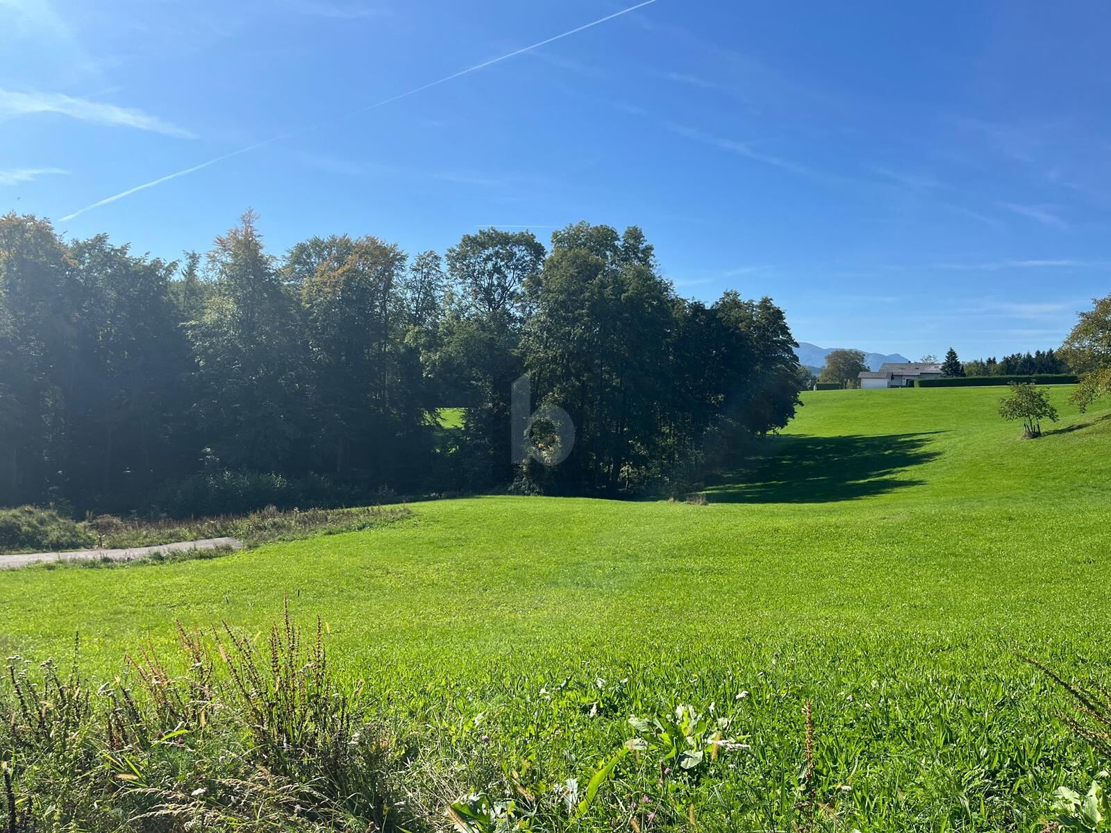 SELTENE GELEGENHEIT: BAUGRUND OHNE BAUZWANG ? UNVERBAUBARE AUSSICHT, SONNIGER SÜDHANG & TOP-WERTANLAGE / / 4451 Garsten / Bild 2