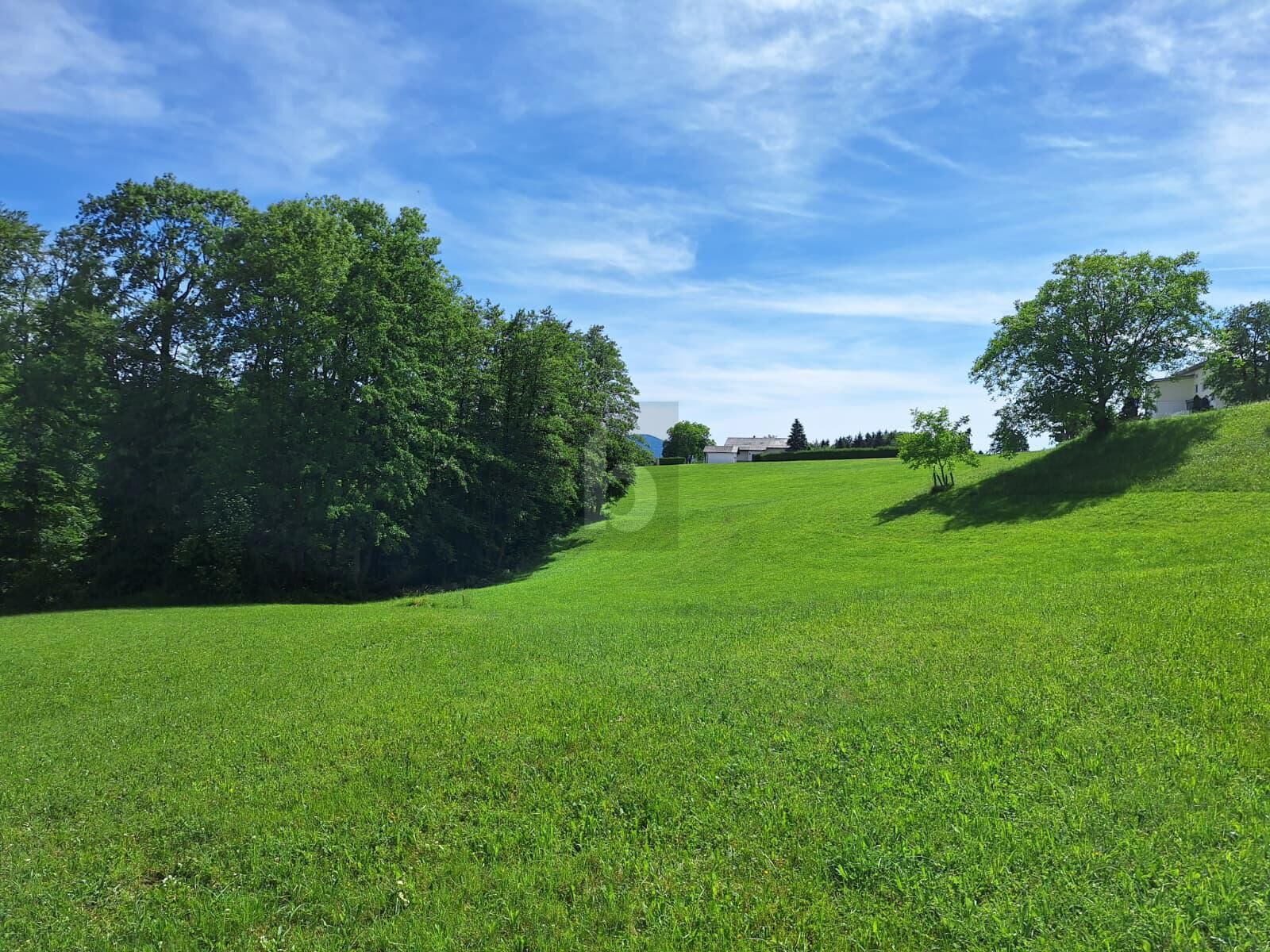 SELTENE GELEGENHEIT: BAUGRUND OHNE BAUZWANG ? UNVERBAUBARE AUSSICHT, SONNIGER SÜDHANG & TOP-WERTANLAGE / / 4451 Garsten / Bild 4