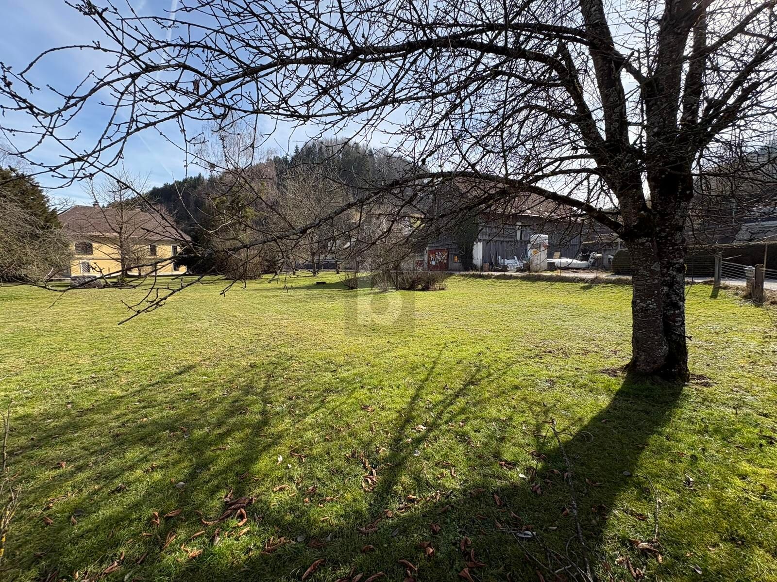 EBEN - MIT BADEPLATZ IN GEHWEITE /  / 3341&nbsp;Ybbsitz / Bild 3