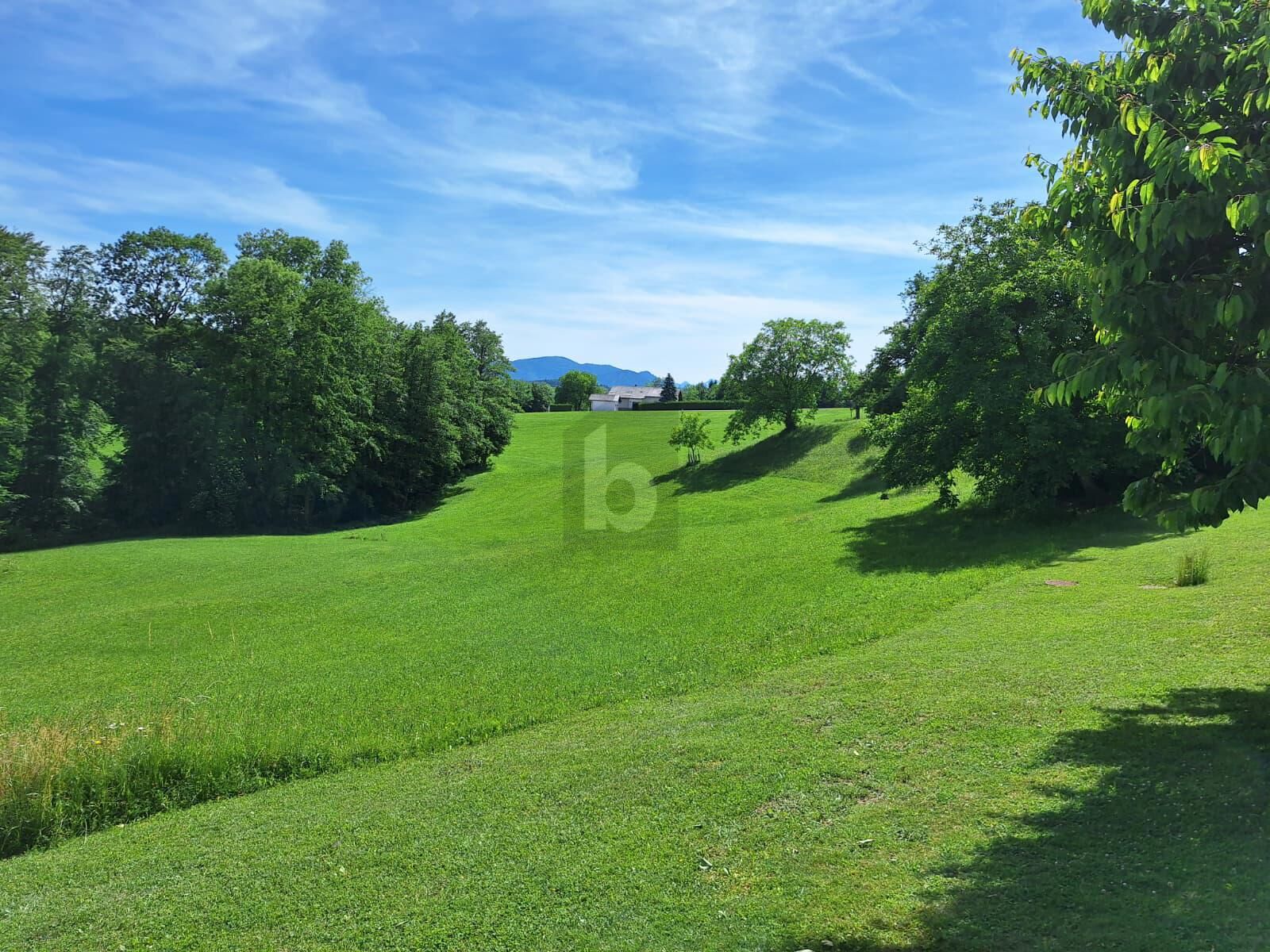 Preisreduktion! SELTENE GELEGENHEIT: BAUGRUND OHNE BAUZWANG ? UNVERBAUBARE AUSSICHT, SONNIGER SÜDHANG & TOP-WERTANLAGE / / 4400 Steyr / Bild 3