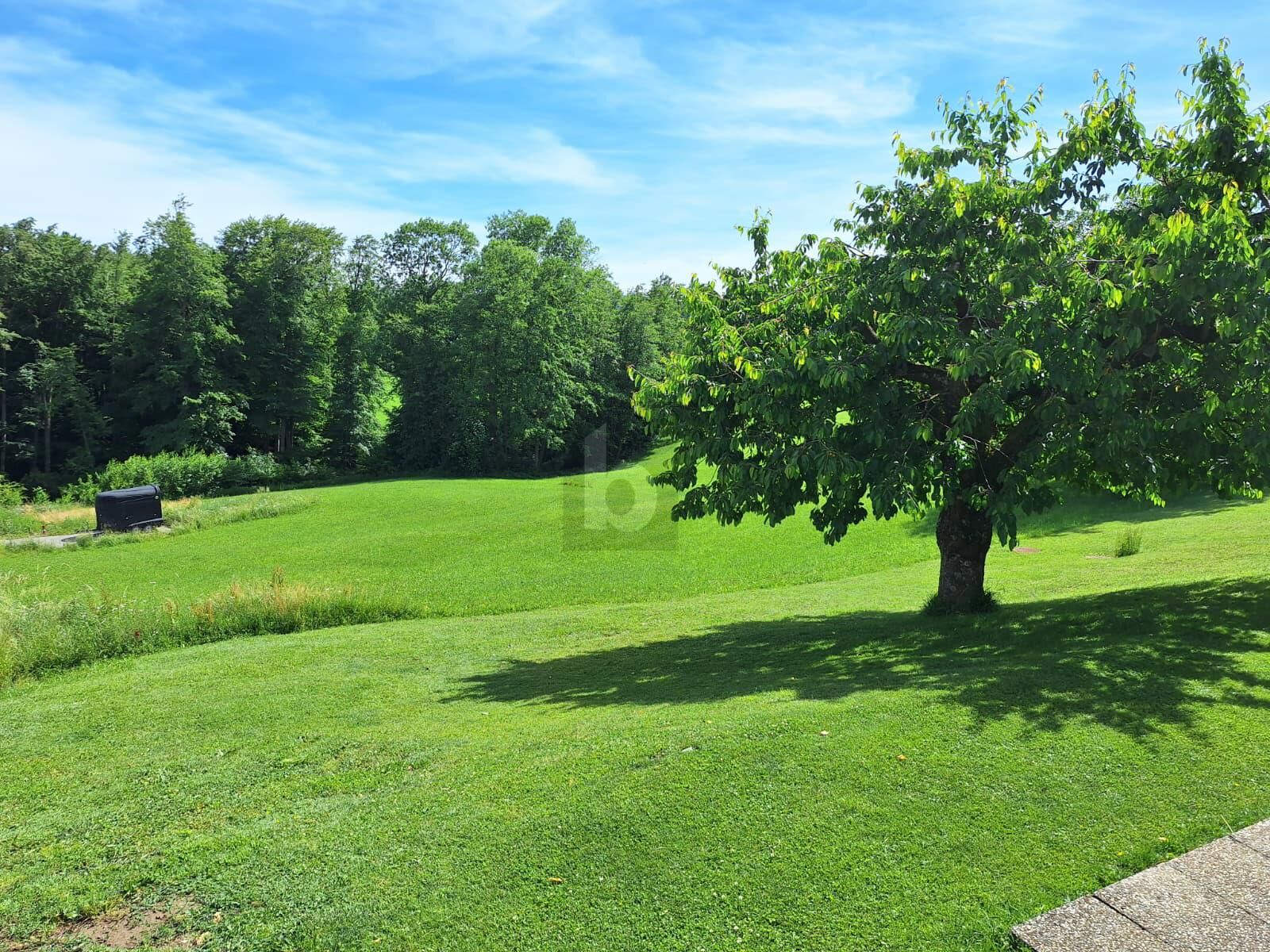 Preisreduktion! SELTENE GELEGENHEIT: BAUGRUND OHNE BAUZWANG ? UNVERBAUBARE AUSSICHT, SONNIGER SÜDHANG & TOP-WERTANLAGE / / 4400 Steyr / Bild 4