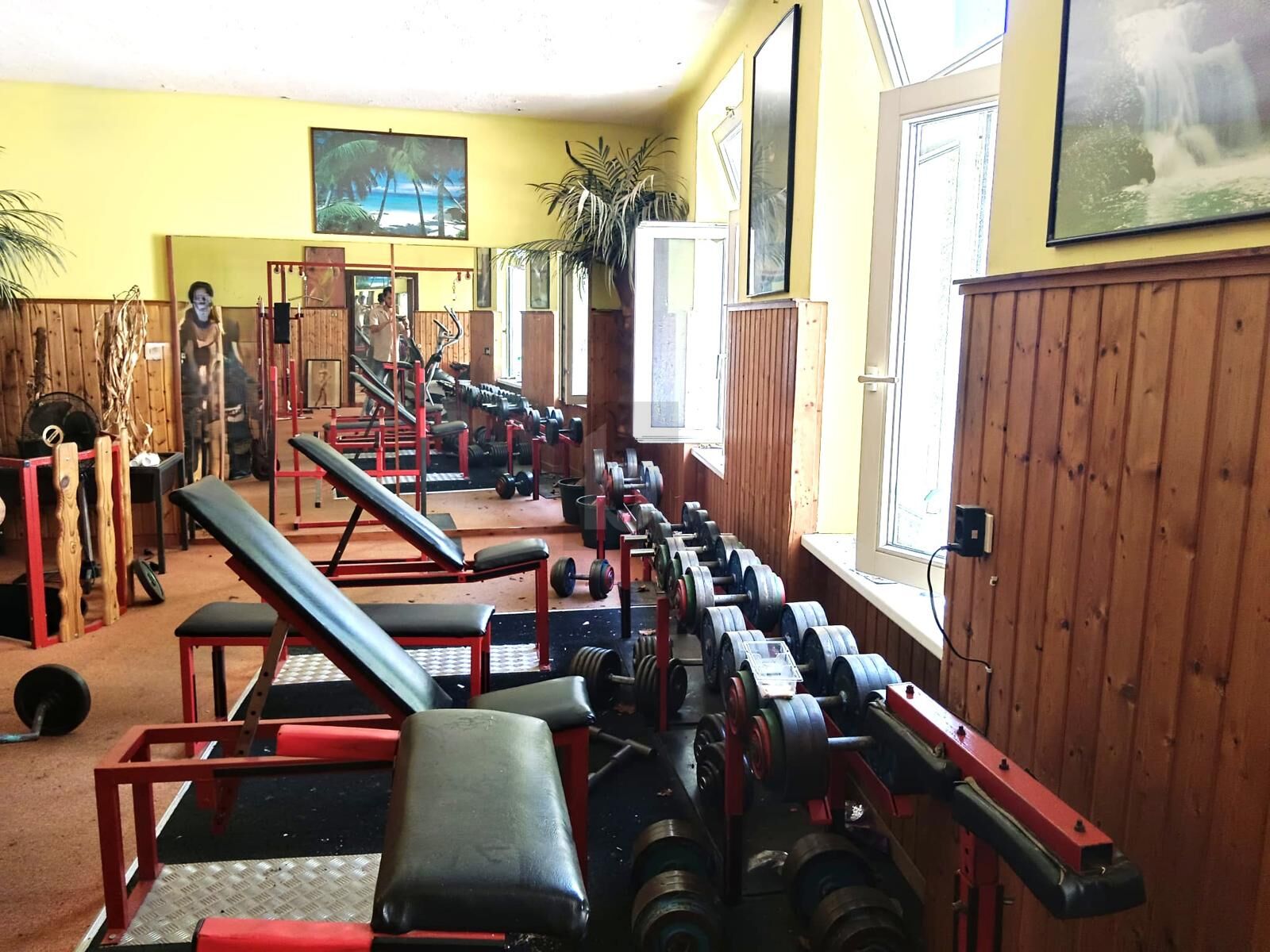 GUTE LAGE - MIT FREIEM GESCH�FTSLOKAL UND MIETEINNAHMEN /  / 2700&nbsp;Wr.Neustadt / Bild 3