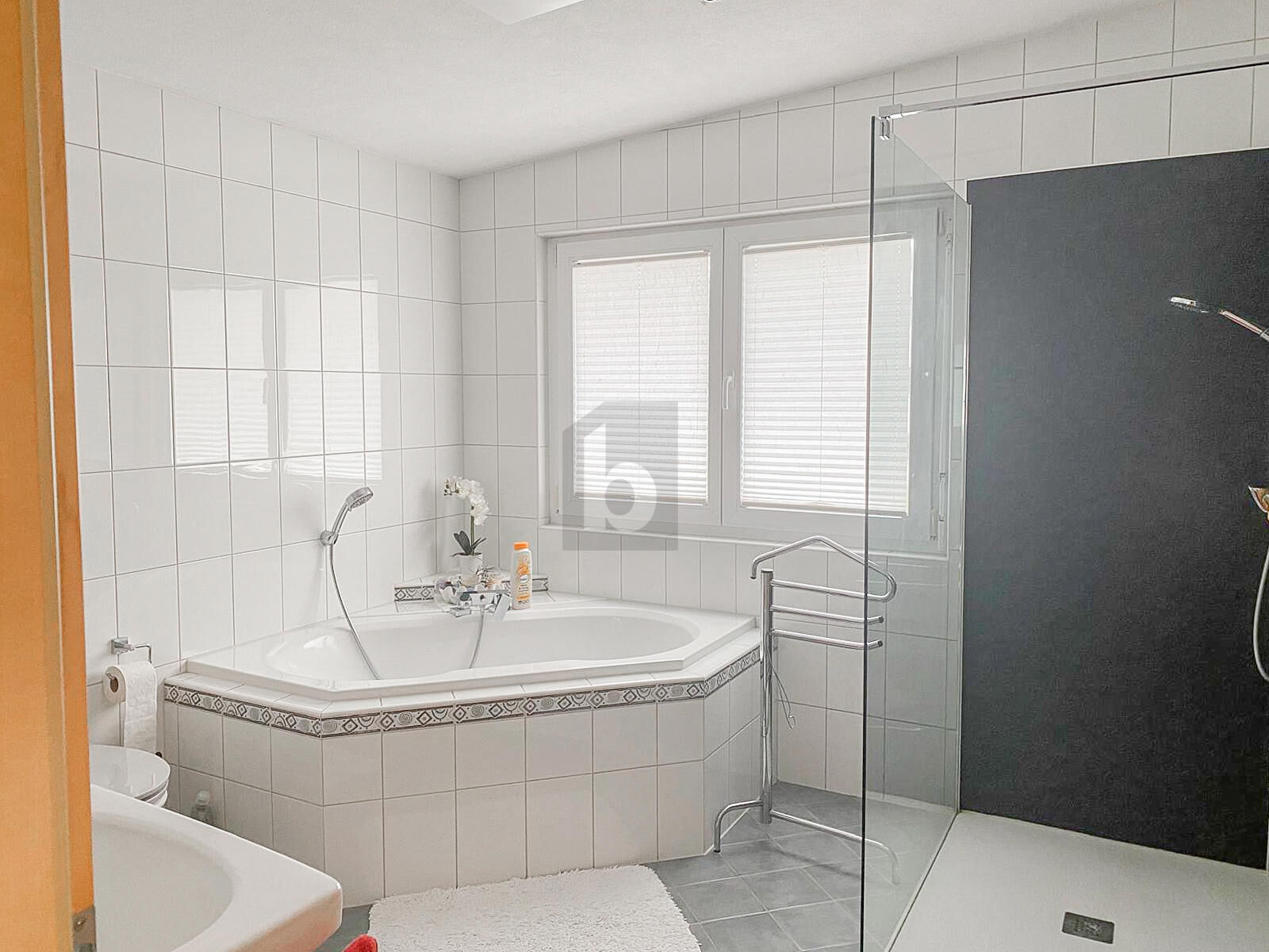 CHARMANT IN SONNIGER RUHELAGE  /  / 6800&nbsp;Feldkirch / Bild 2