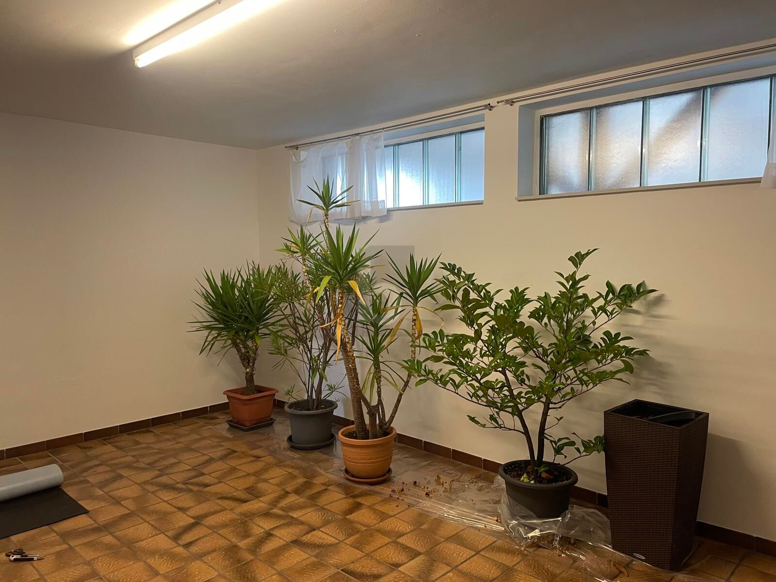 TRAUMHAUS MIT SAUNA & GARTEN ? SOFORT BEZIEHBAR! /  / 4372&nbsp;St. Georgen am Walde / Bild 3