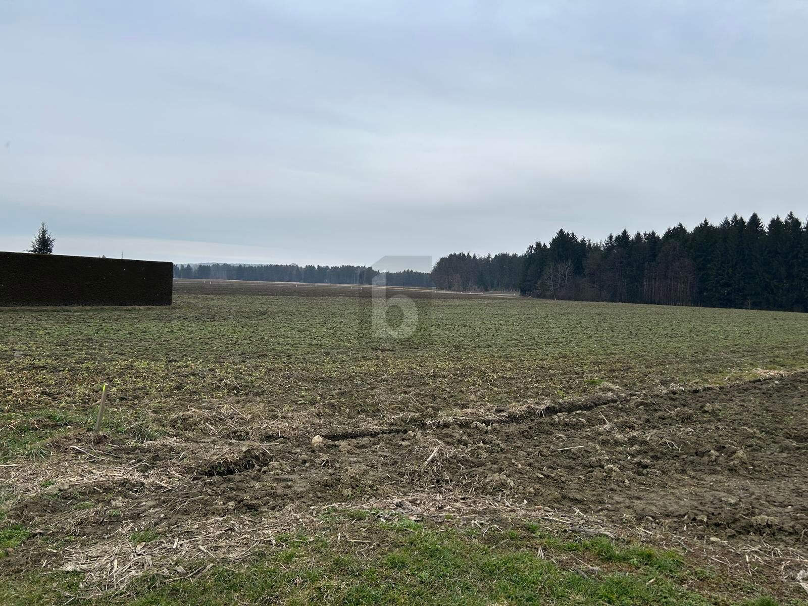 Aehnliche Immobilie - Vorschaubild 3