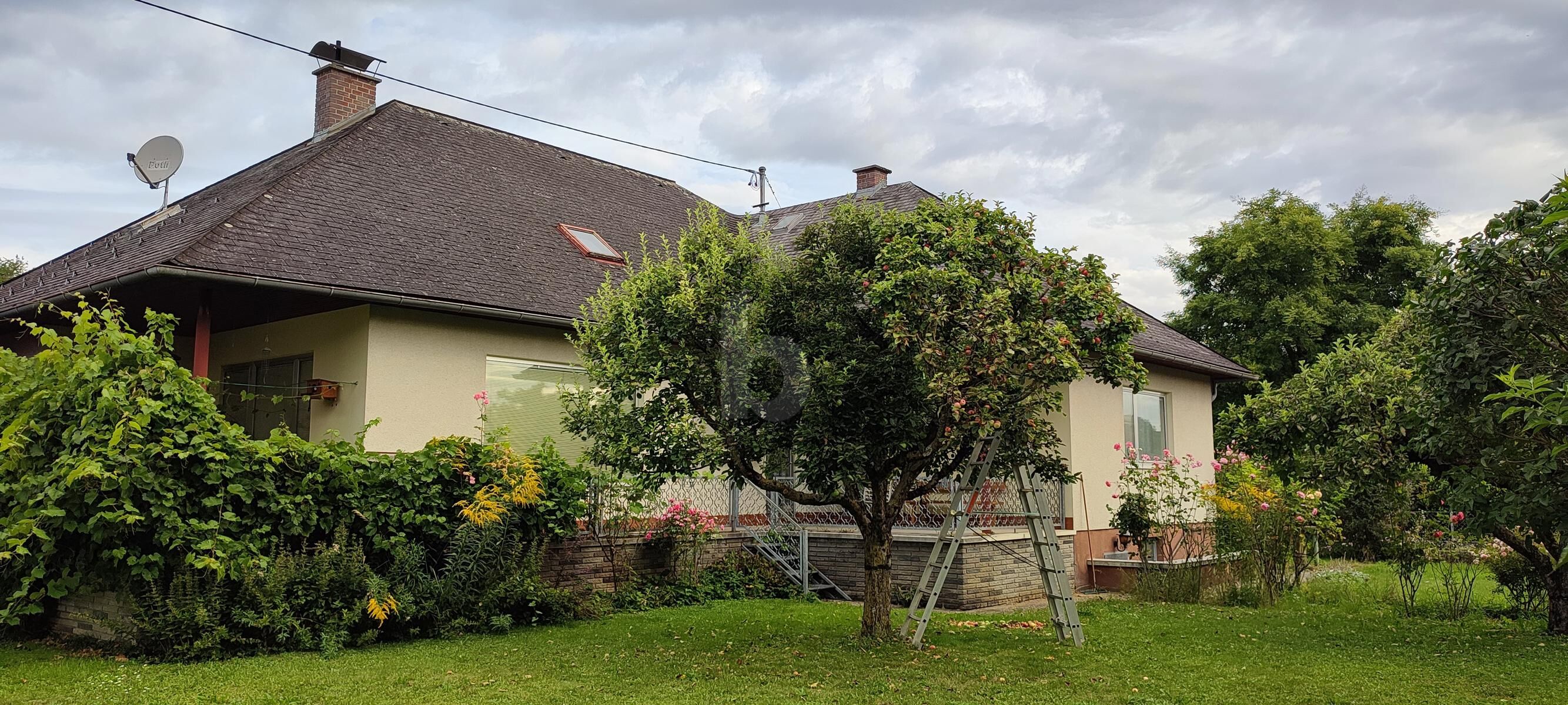 TRAUMHAFTER SONNIGER GARTEN! GER�UMIG MIT VIEL POTENTIAL /  / 4523&nbsp;Neuzeug / Bild 3